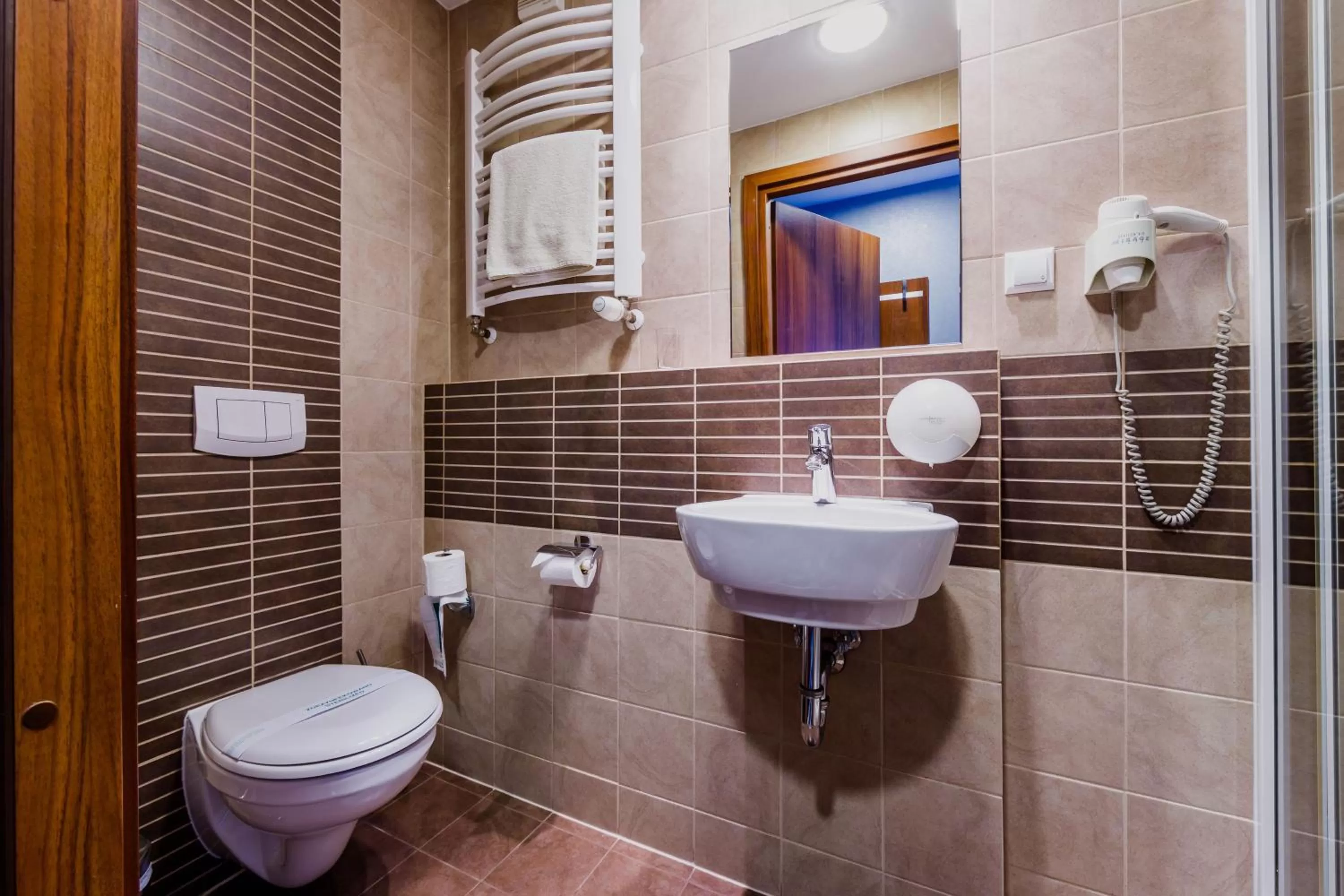 Toilet in Hotel Wyspiański