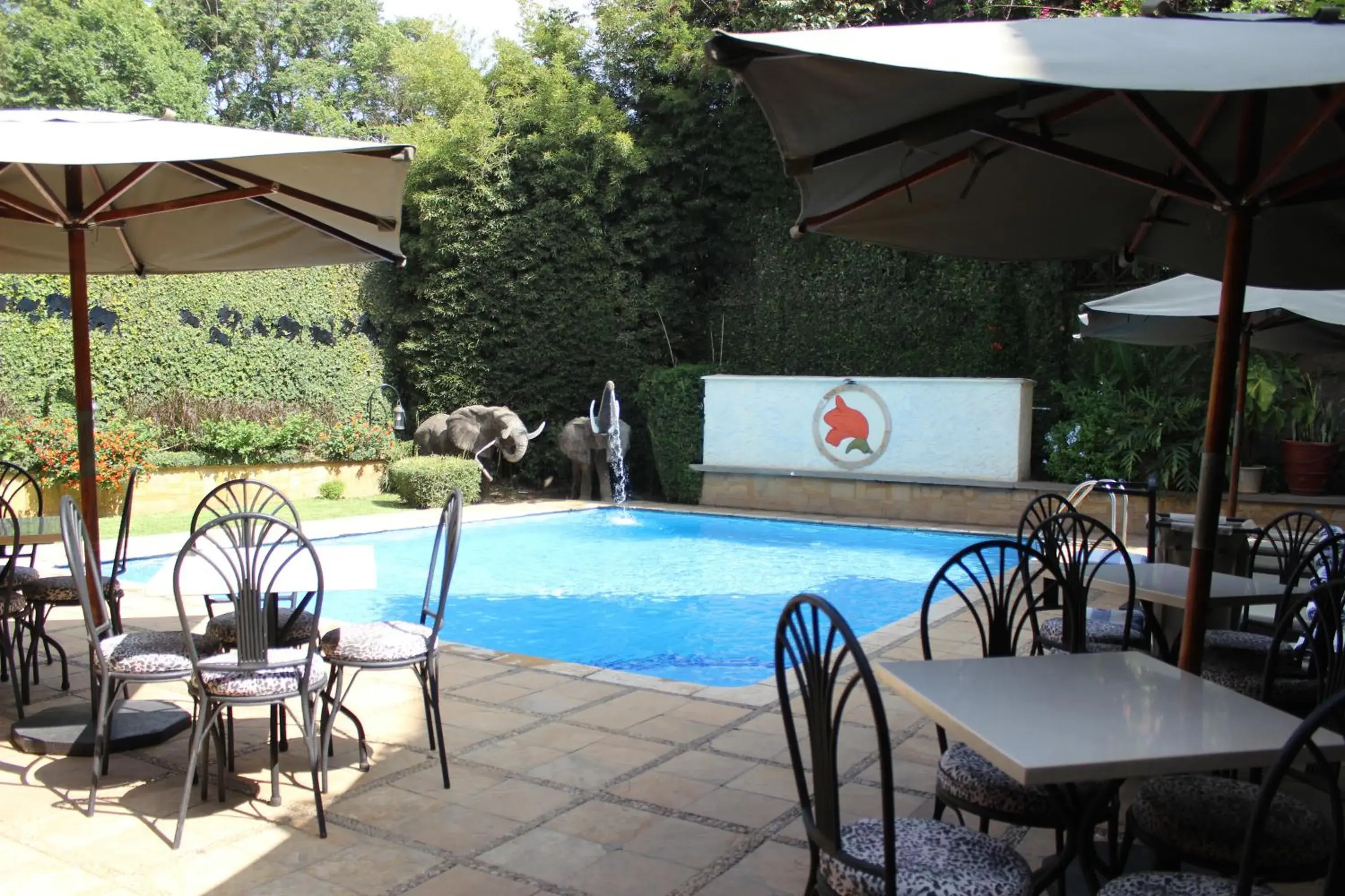 Swimming Pool in The African Tulip Hotel