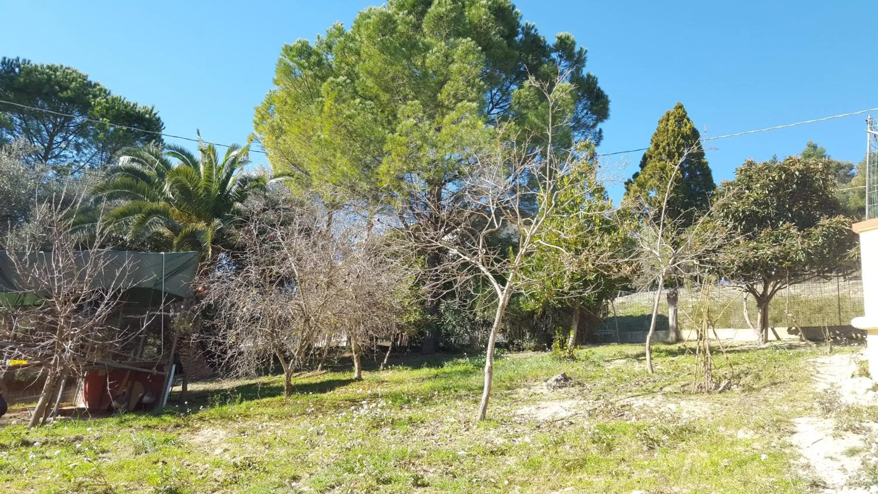 Natural landscape, Garden in B&B ed affittacamere da Pietro