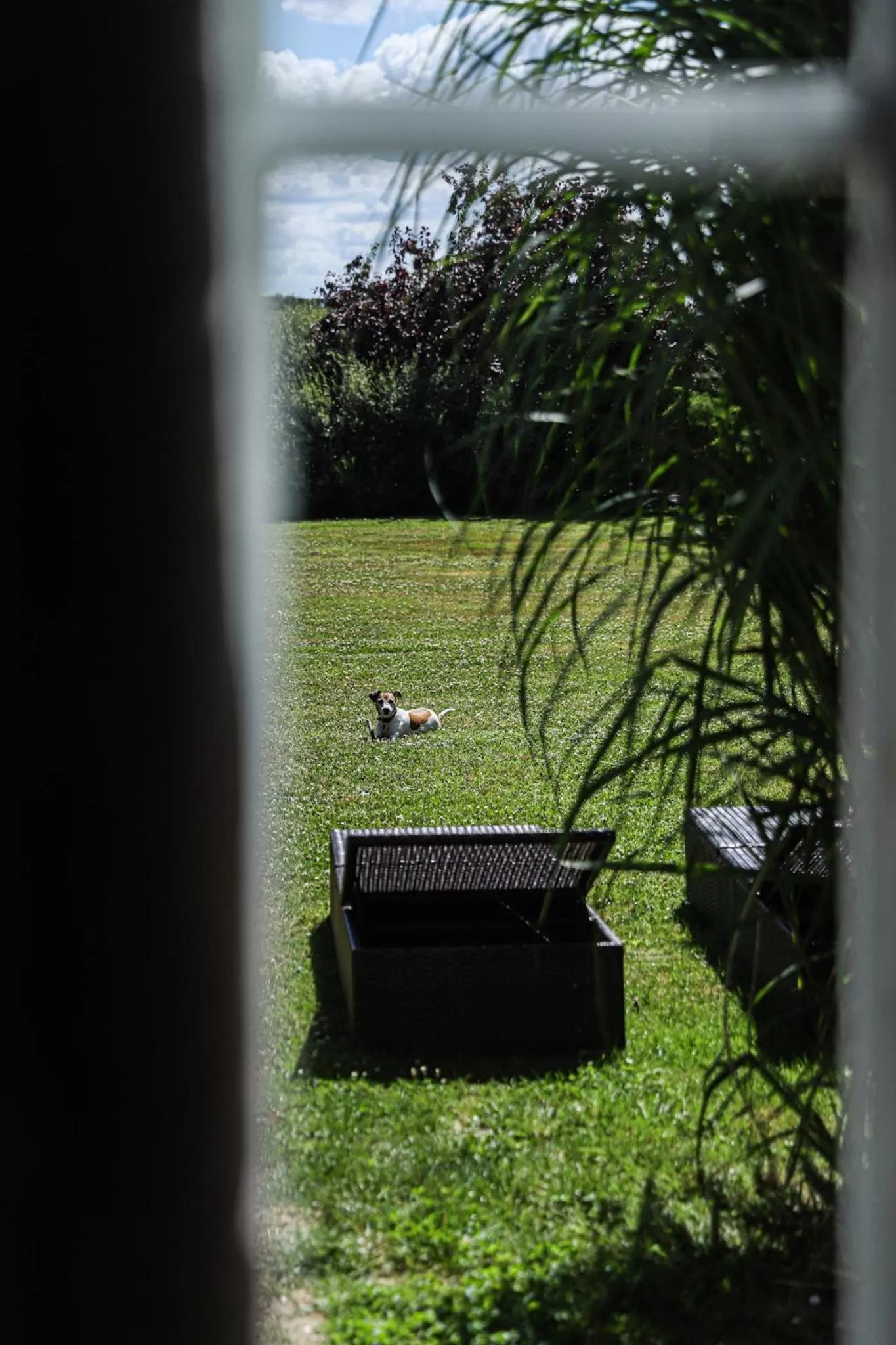 Garden in Domaine de Bellevue, The Originals Relais