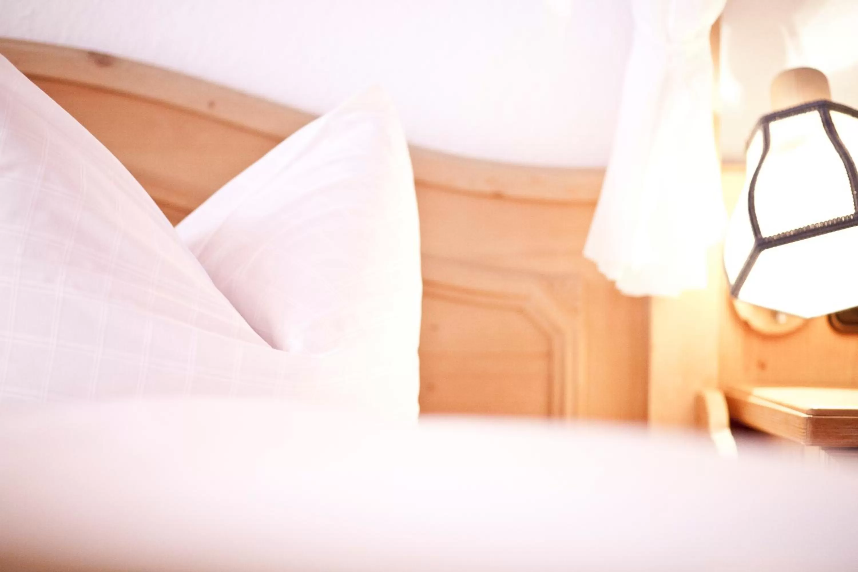 Standard Single Room - single occupancy in Aparthotel Kleinwalsertal