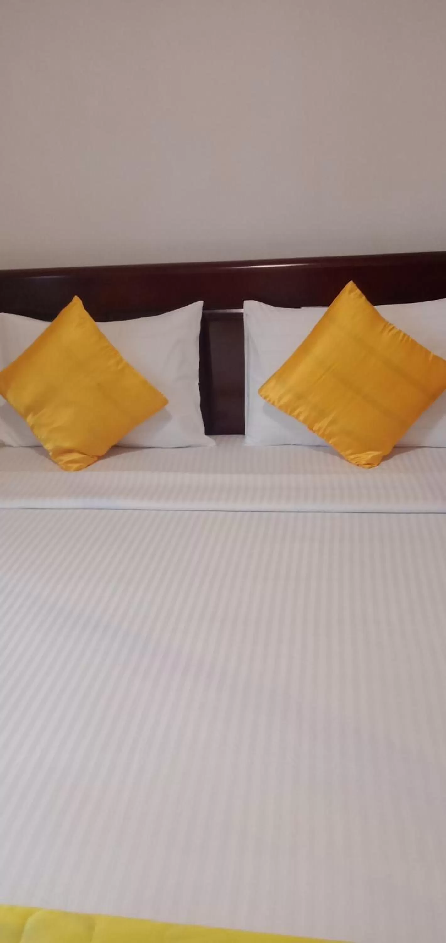 Bed in The Train View