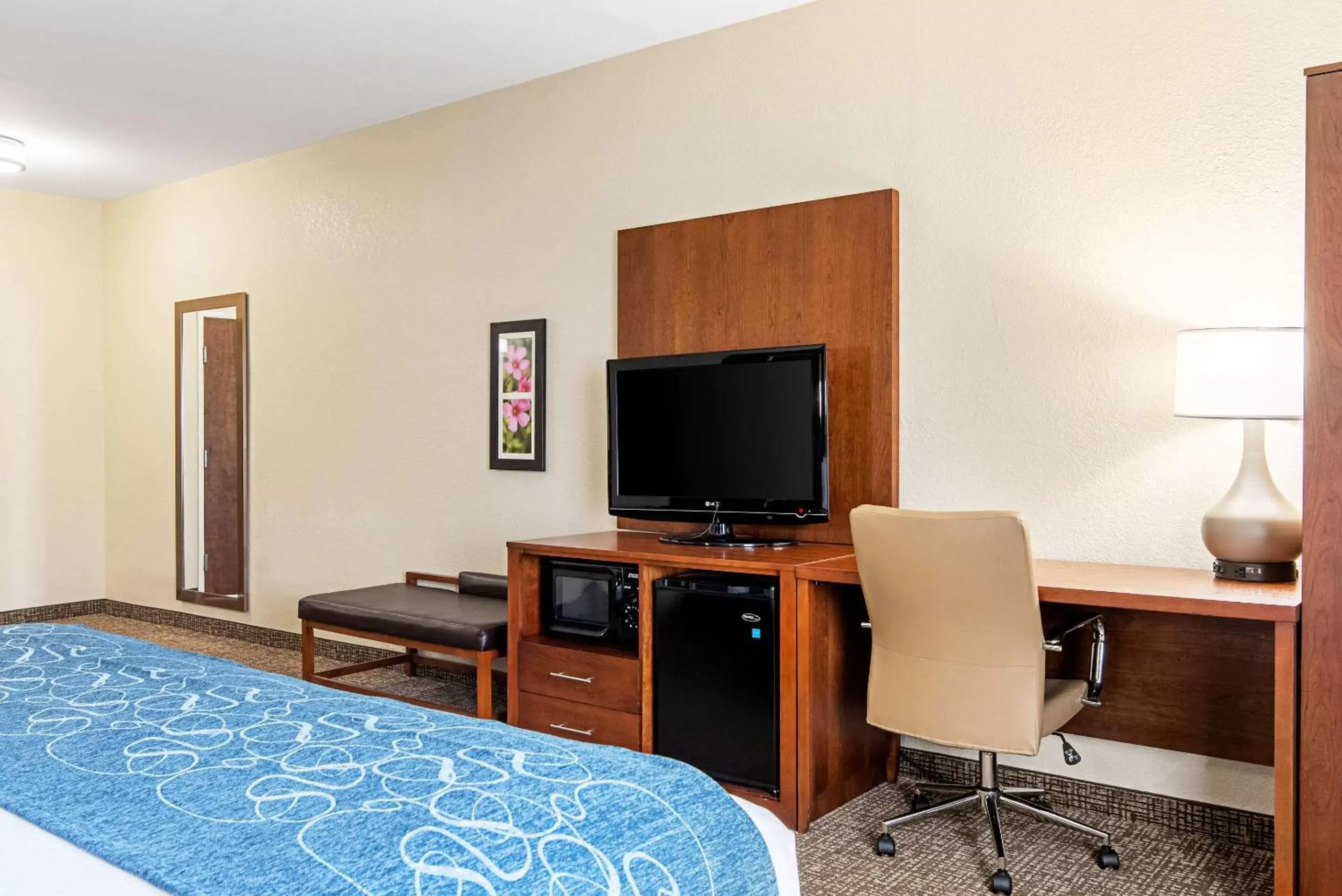 Photo of the whole room, TV/Entertainment Center in Comfort Inn & Suites Pine Bluff