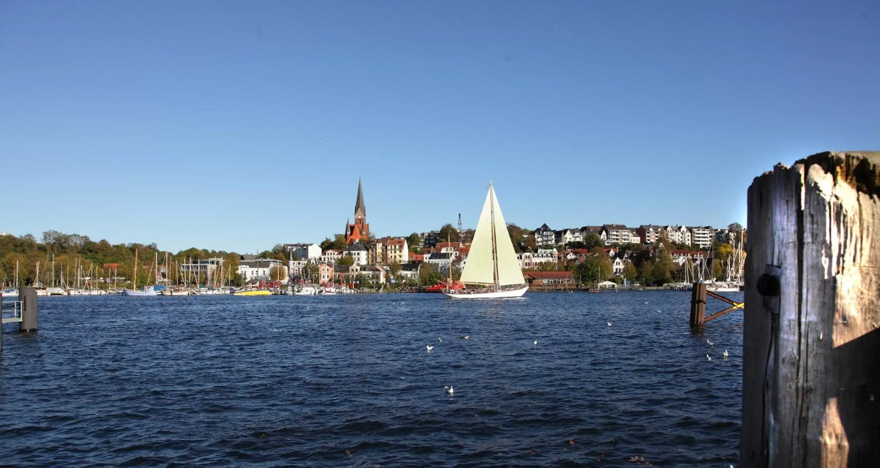 Area and facilities in Hotel am Fjord