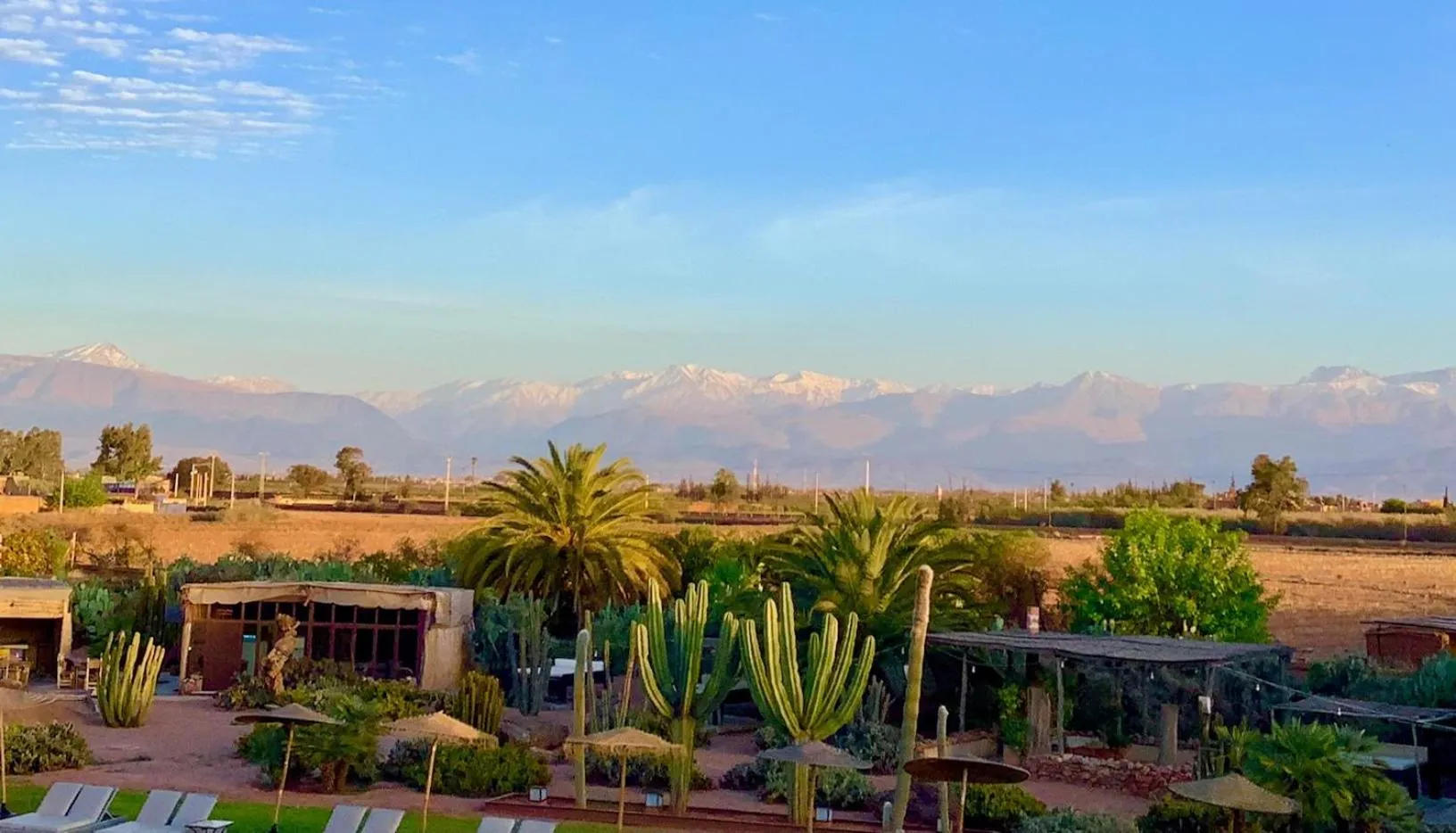 Garden in Fellah Hotel