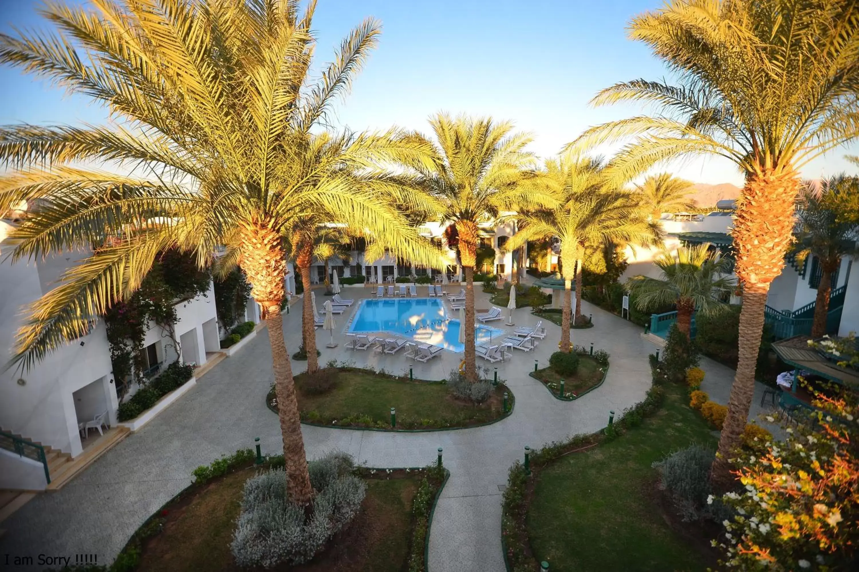 Pool View in Falcon Hills Hotel