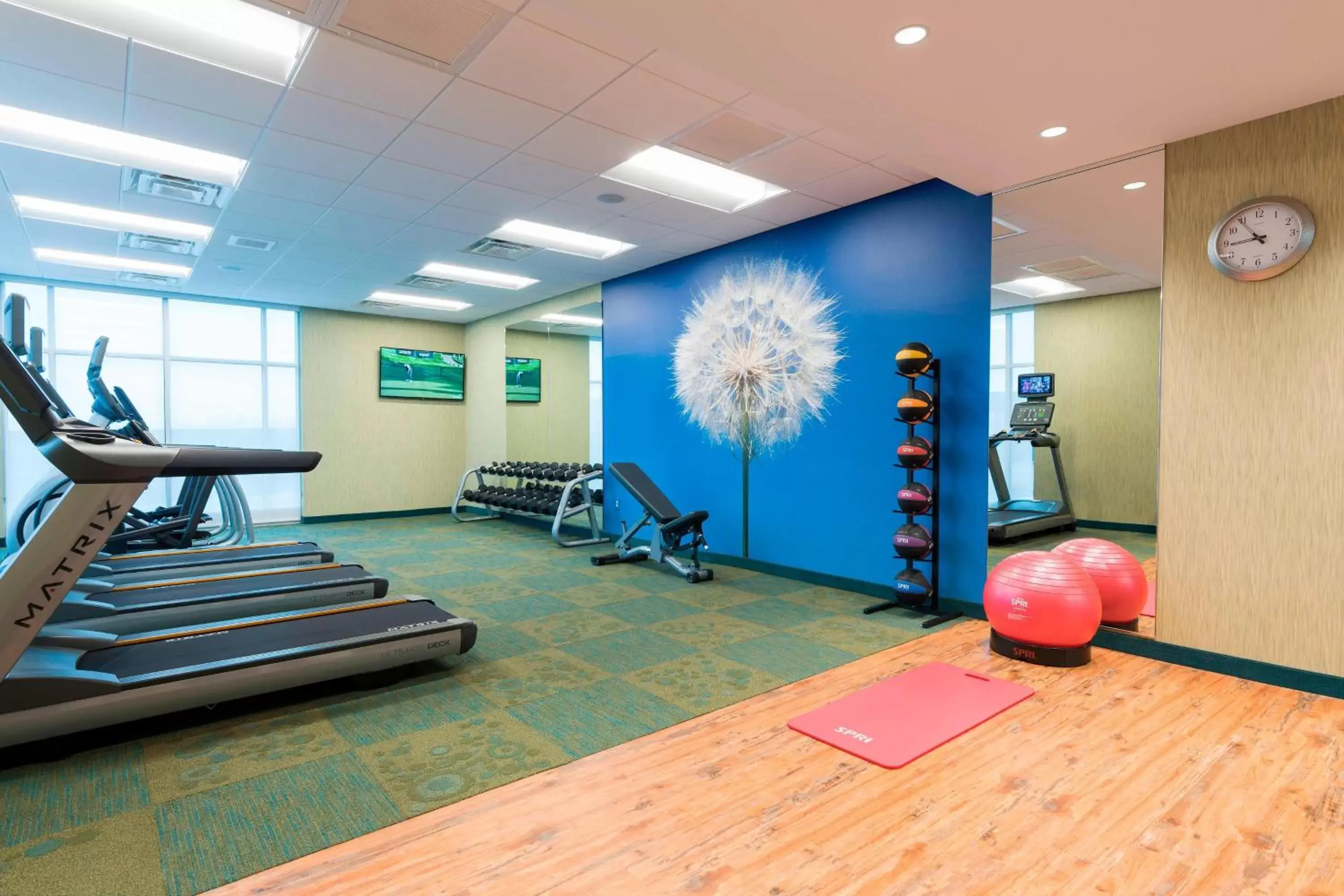 Fitness centre/facilities, Fitness Center/Facilities in SpringHill Suites by Marriott Chicago Southeast/Munster, IN