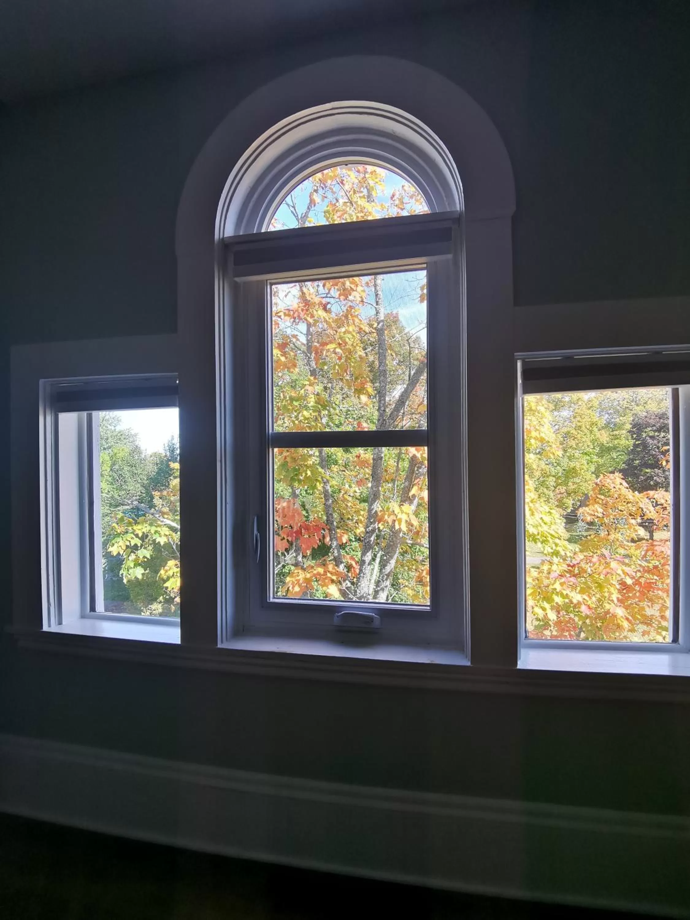 Garden view in By The River B&B