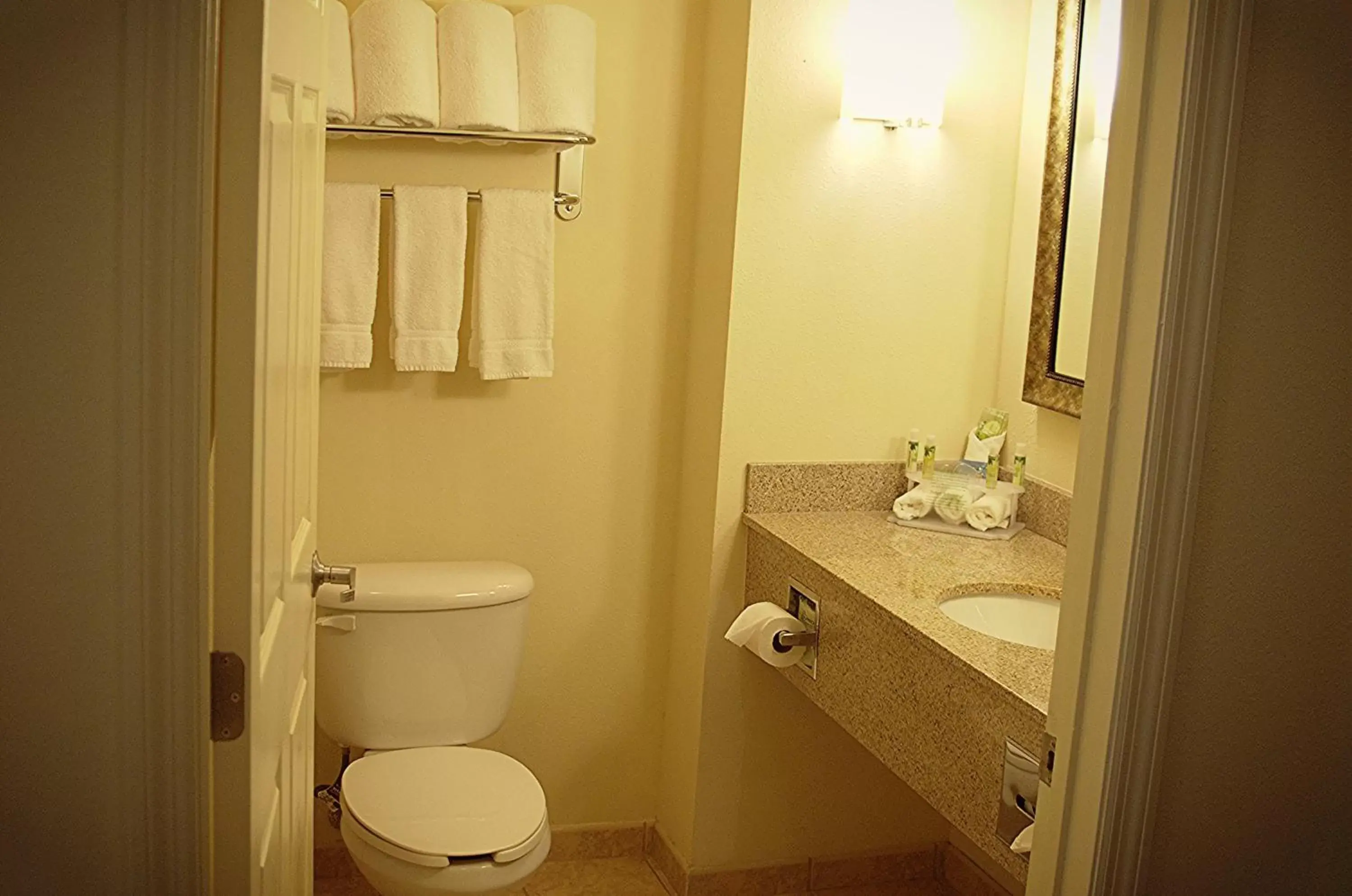 Photo of the whole room, Bathroom in Holiday Inn Express DeFuniak Springs, an IHG Hotel