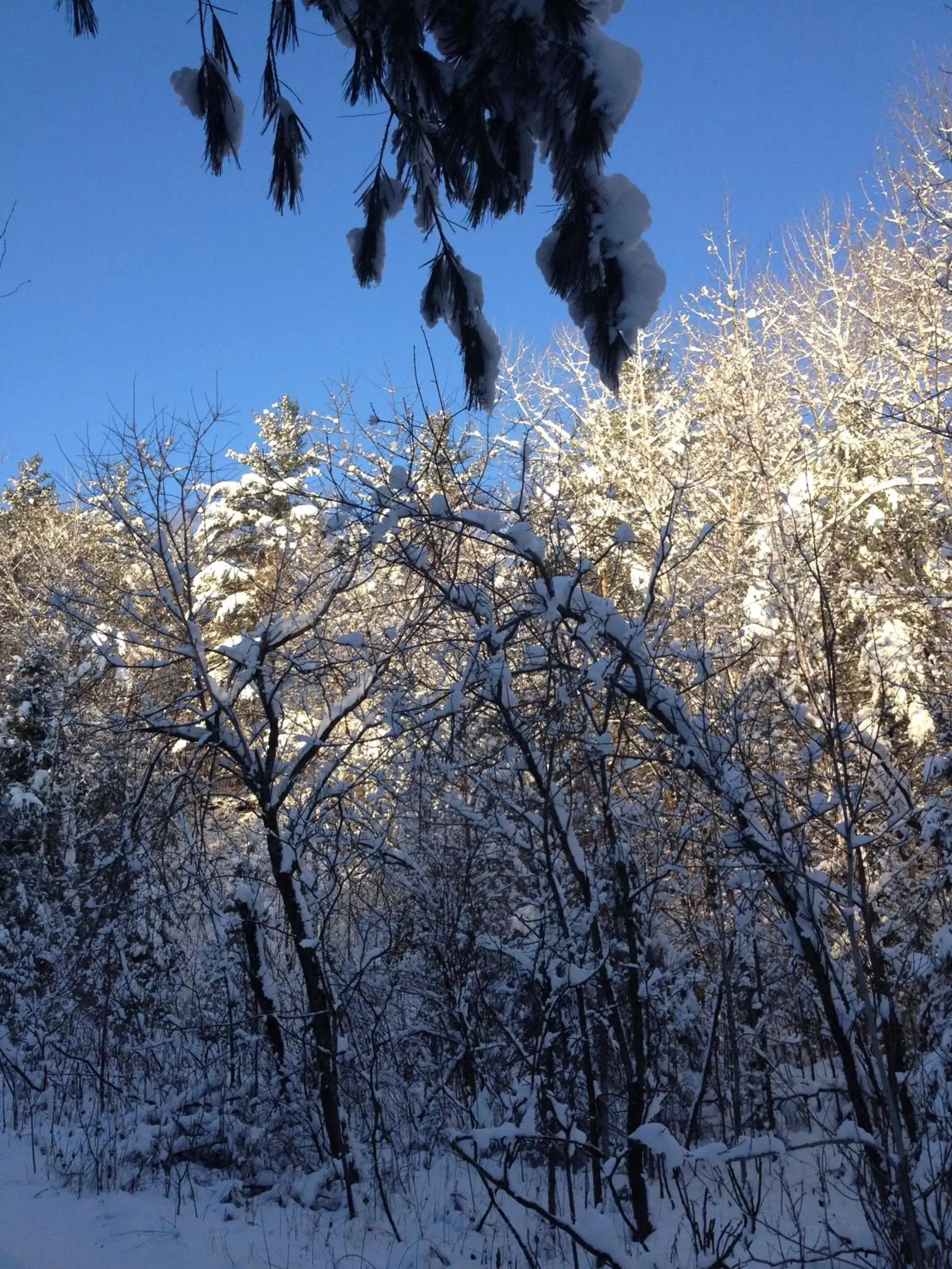 Winter in Auberge De Mon Petit Chum B&B