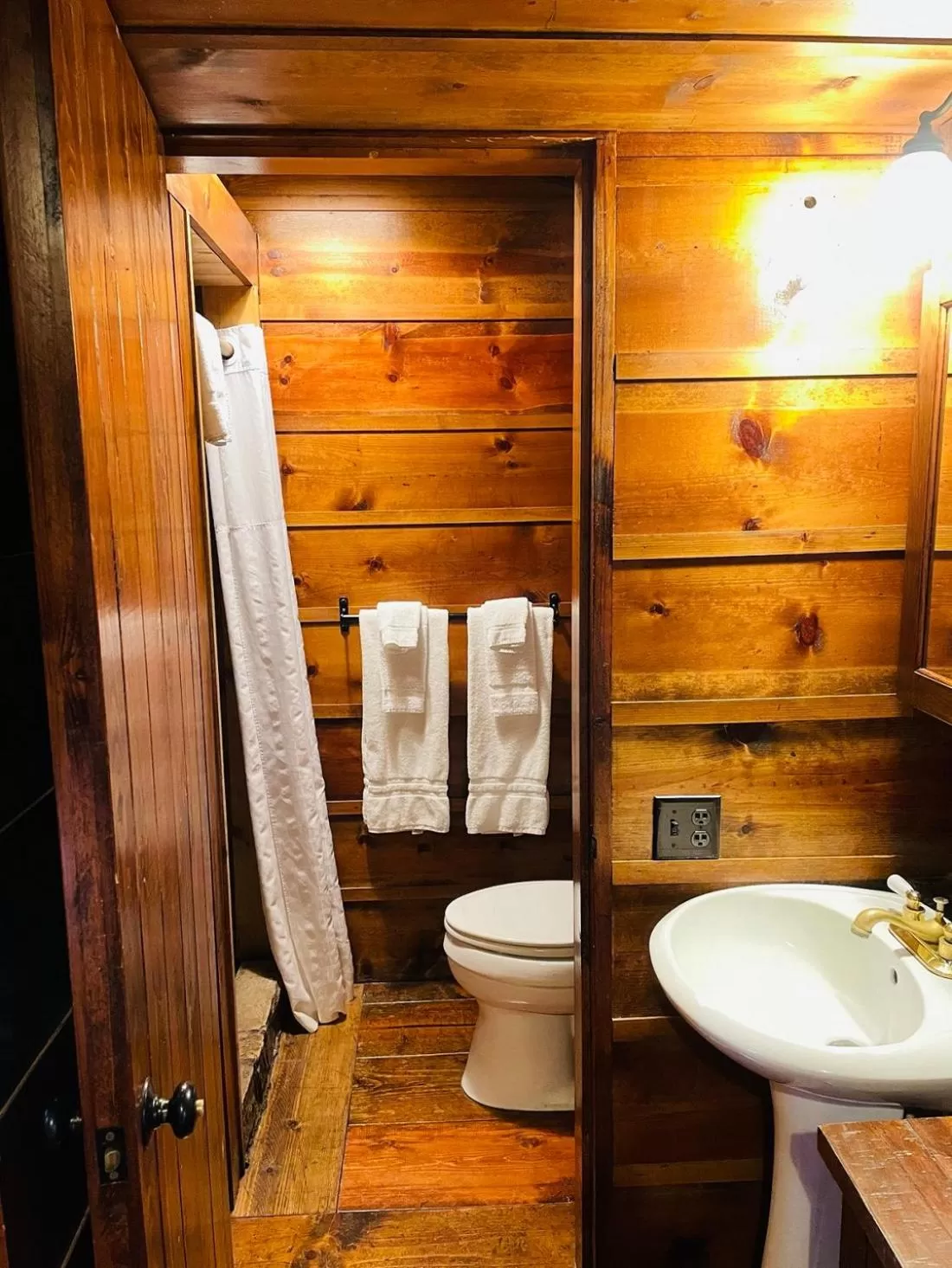 Toilet in Drummond Island Resort