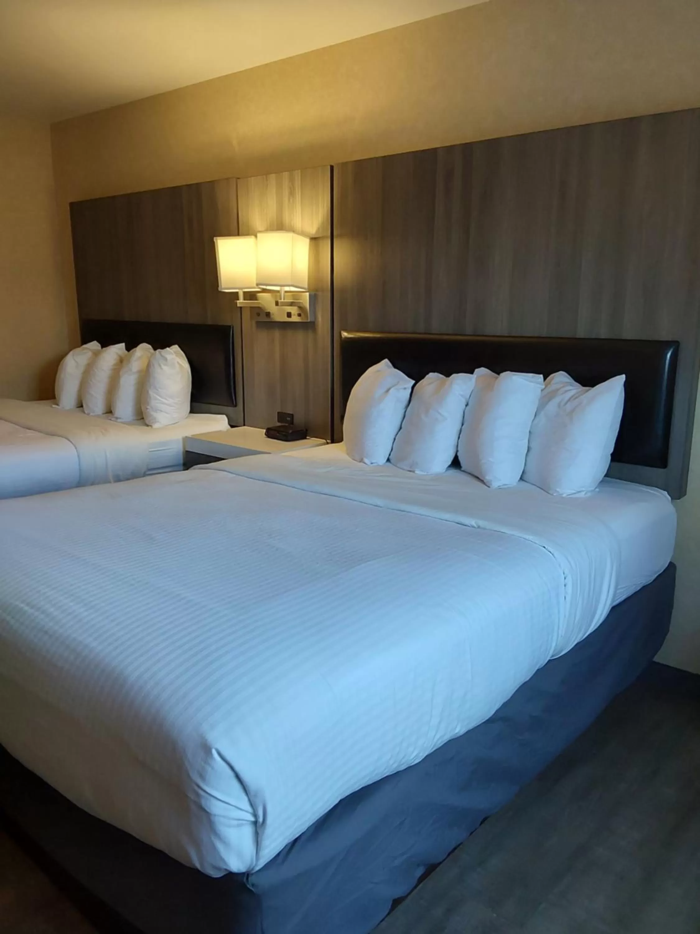 Queen Room with Two Queen Beds in GuestHouse Inn Bellingham