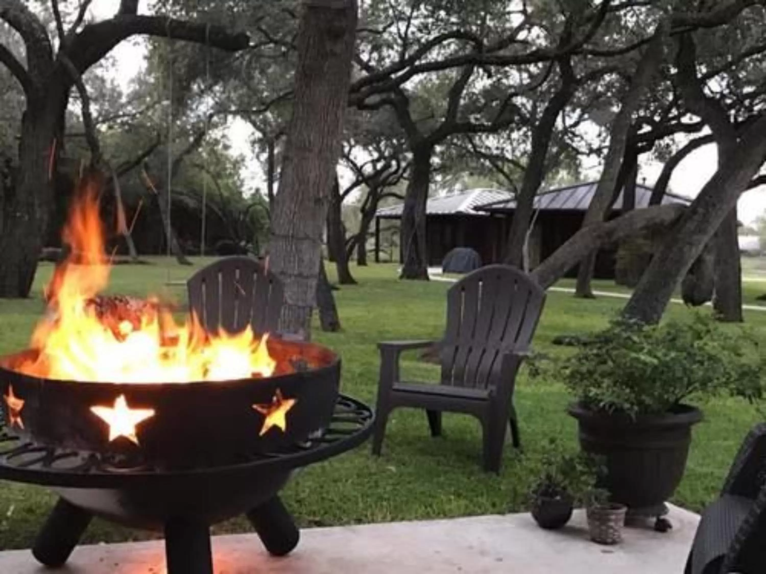 Other in Live Oaks Bed and Breakfast