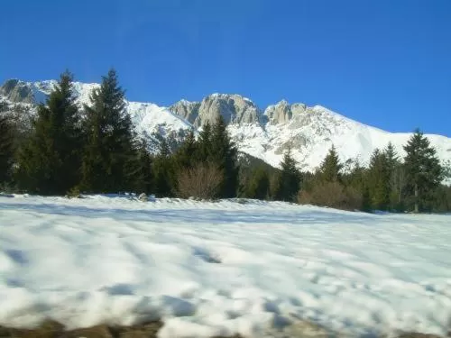 Area and facilities in Hotel Residence La Rosa