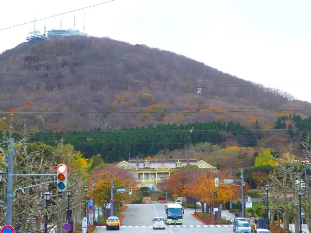 Mountain View in Hakodate Motomachi Hotel