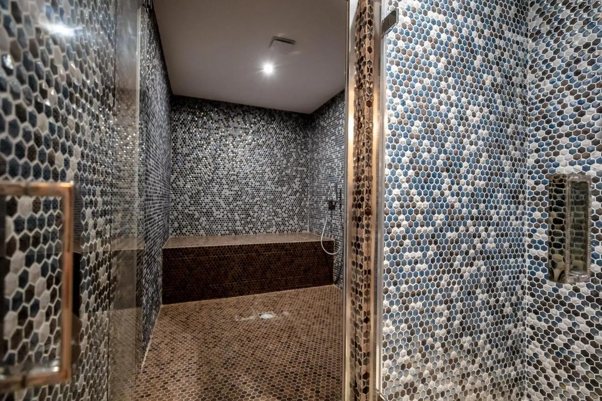 Steam room, Bathroom in Le Saint Remy