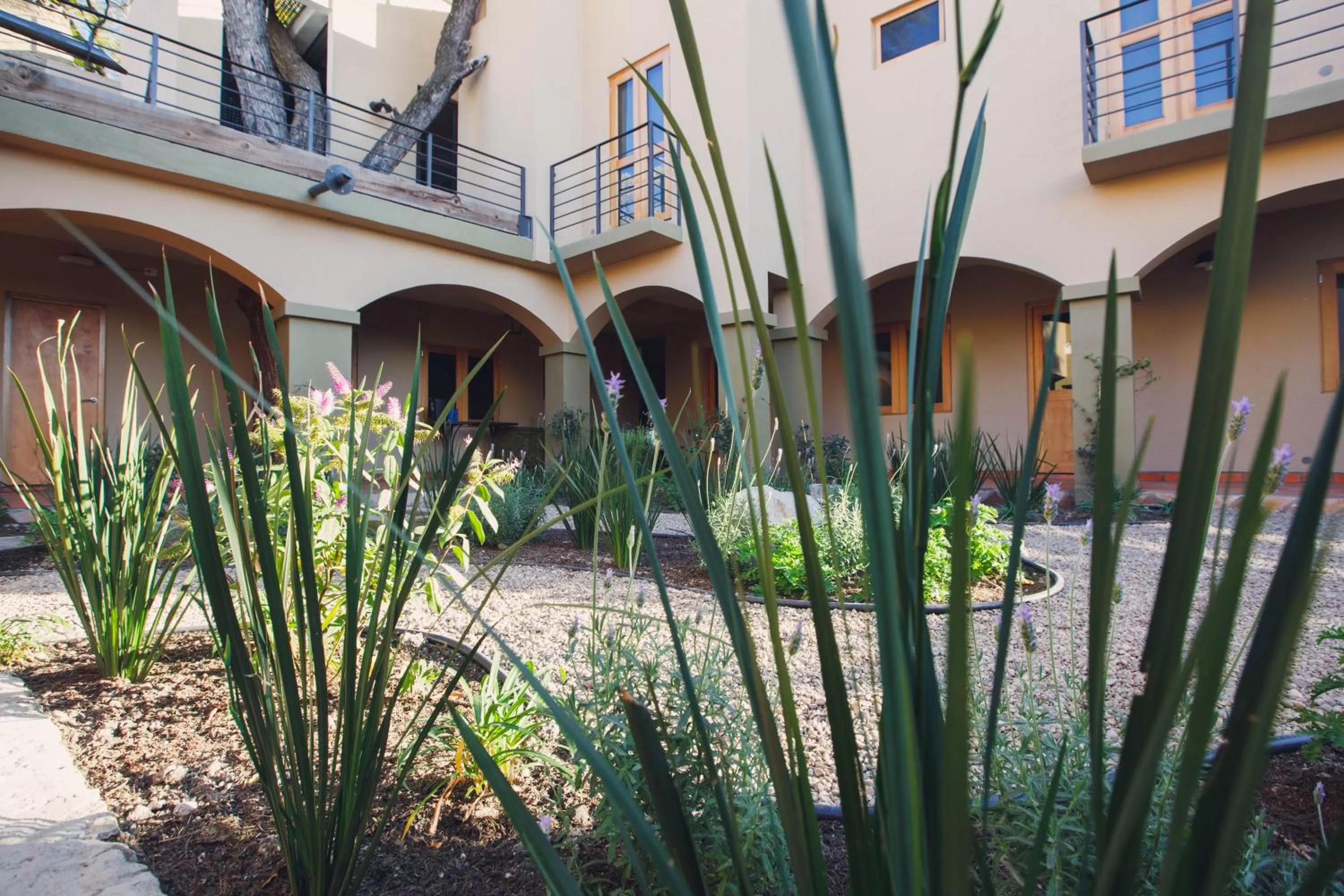 Garden in Casa Naré Adults Only