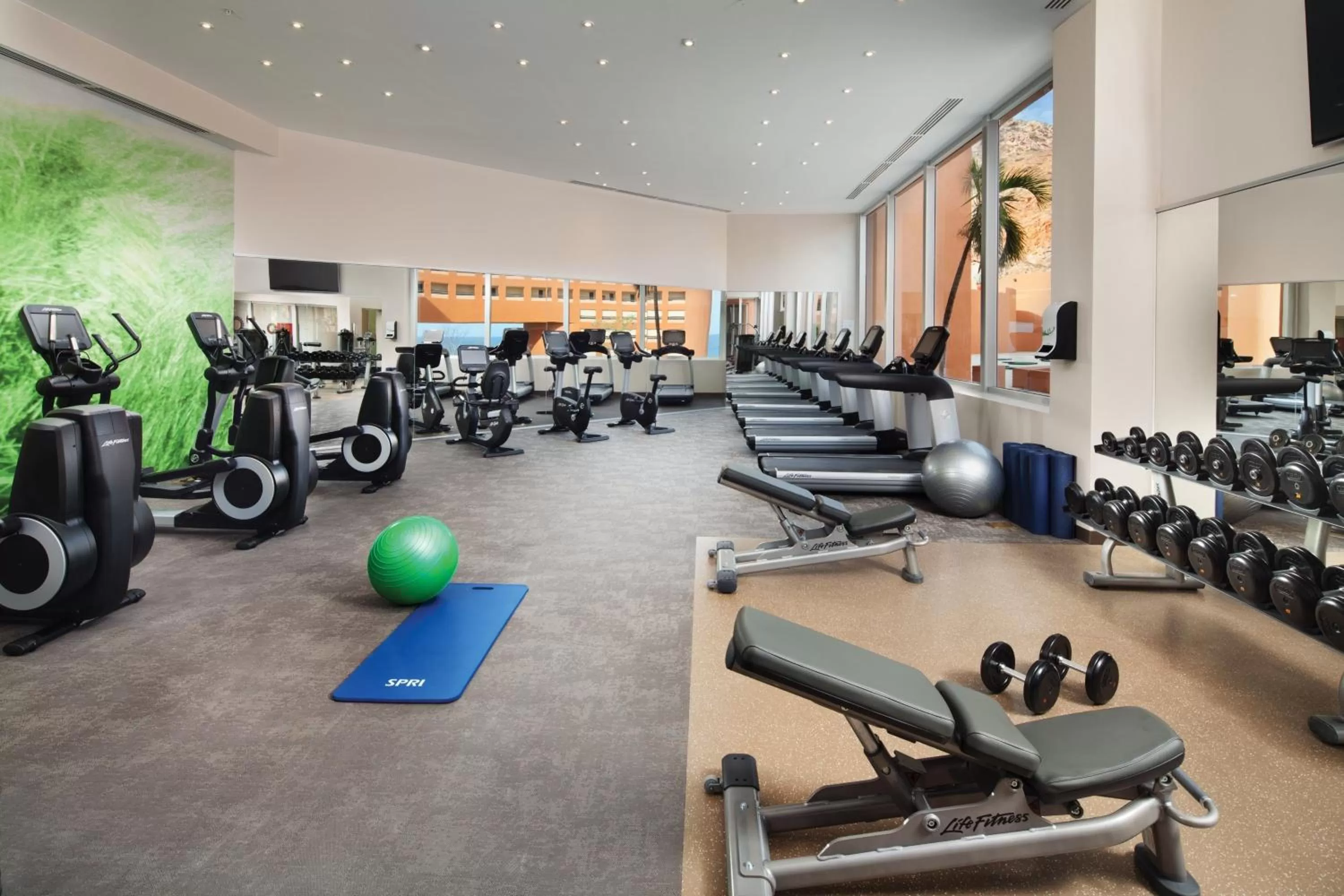Fitness centre/facilities in The Westin Los Cabos Resort Villas