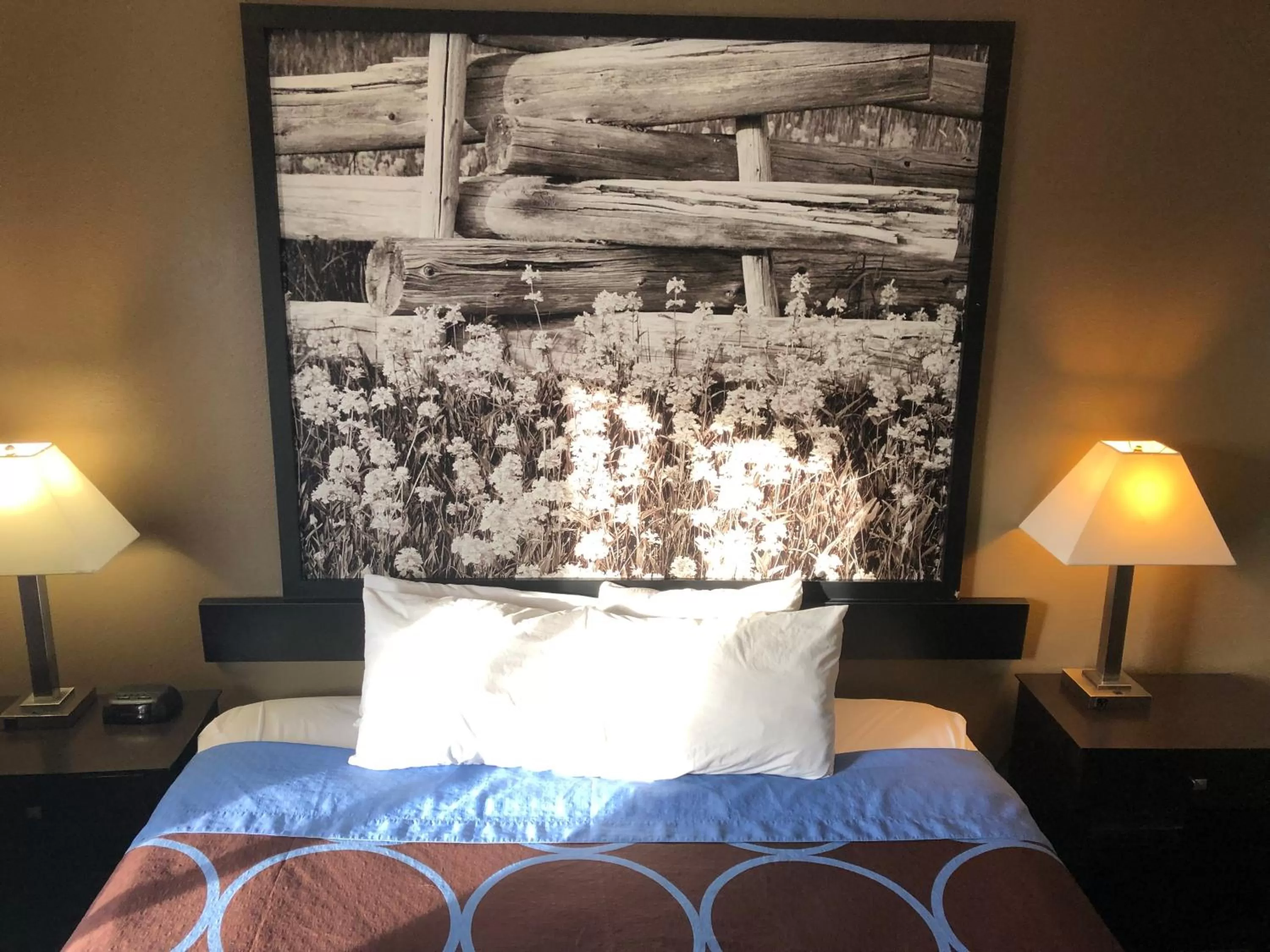 Bedroom, Bed in Super 8 by Wyndham Boise