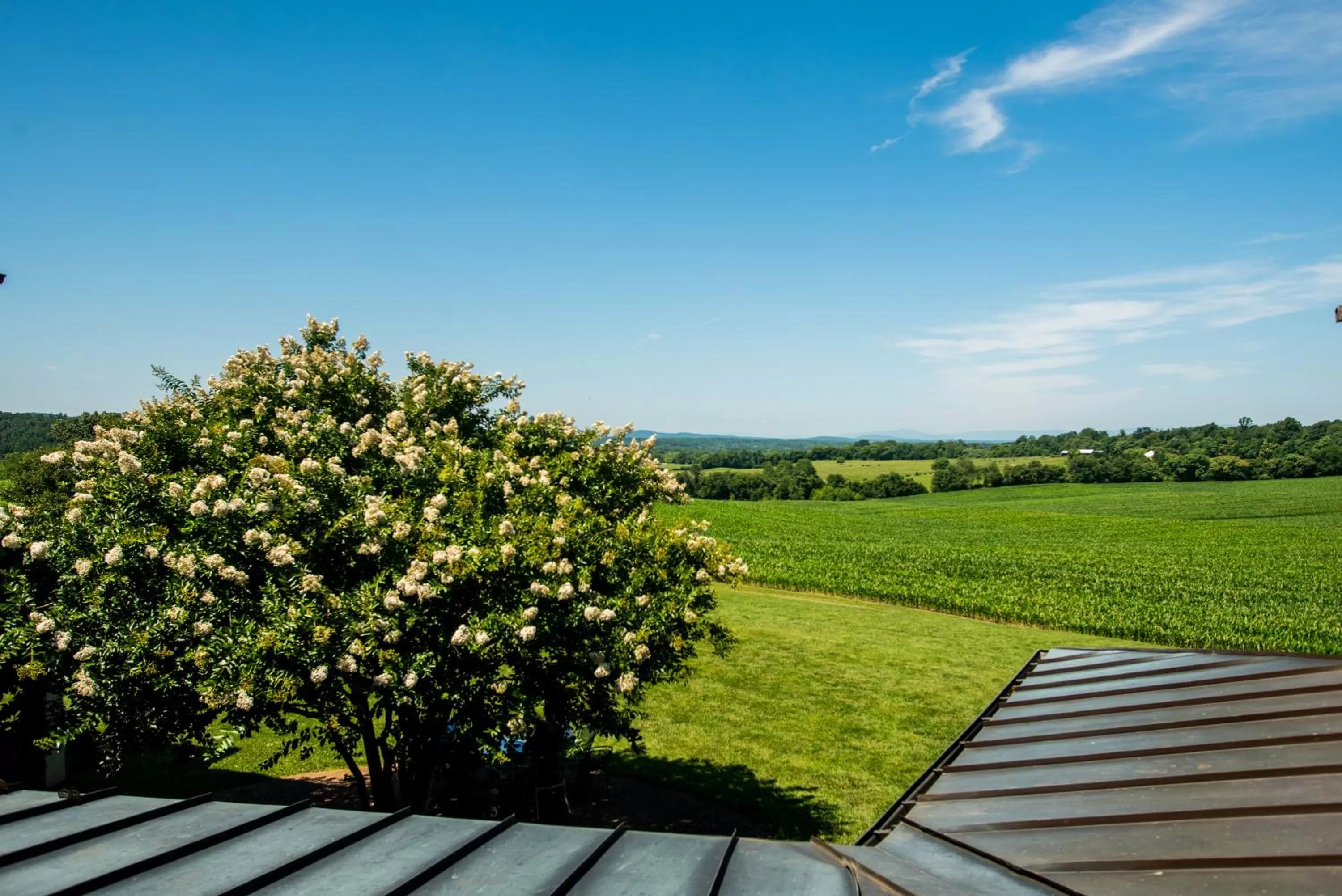 Mountain view in Round Hill Inn