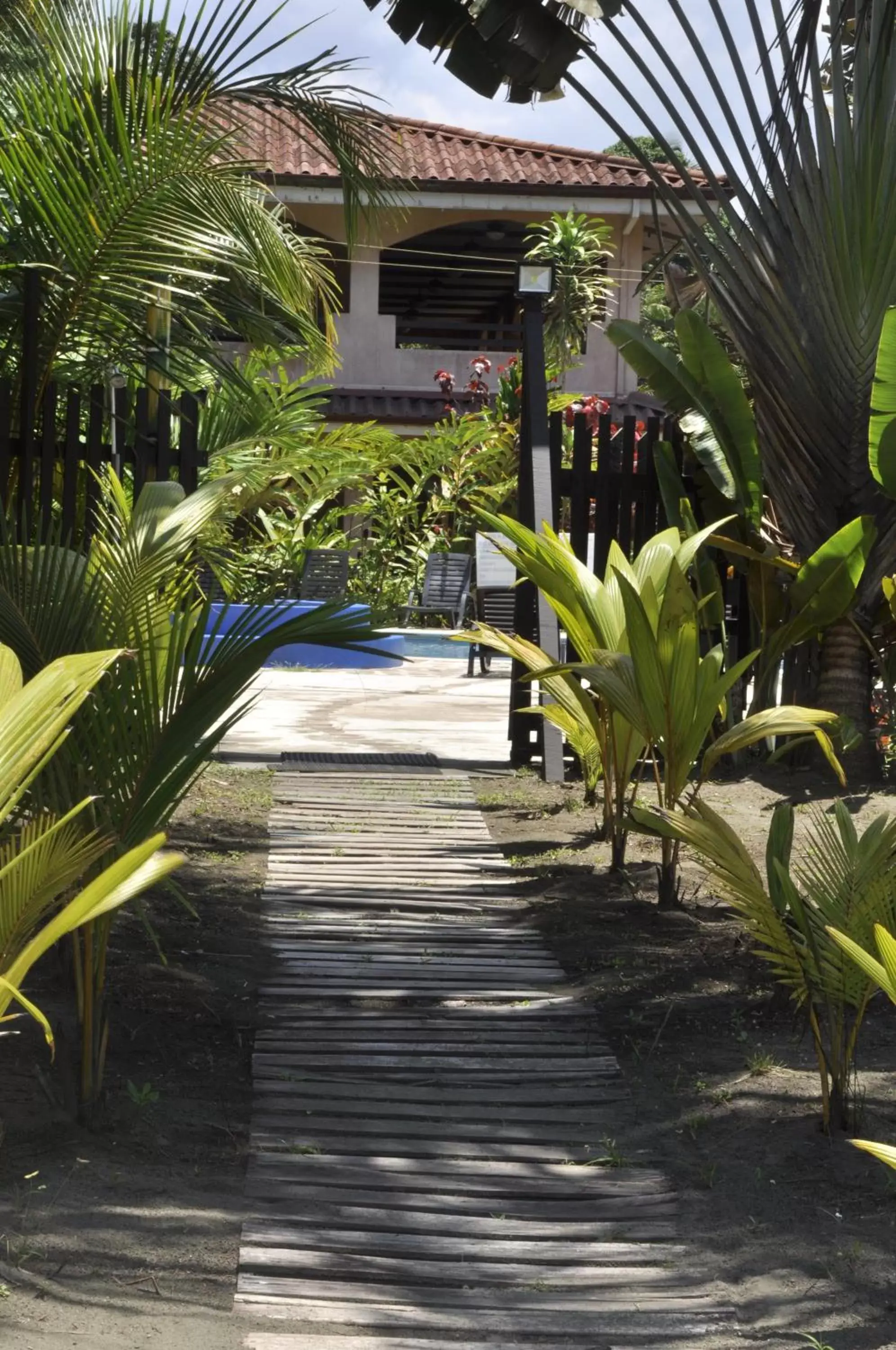 Beach, Swimming Pool in Hotel Playa Westfalia