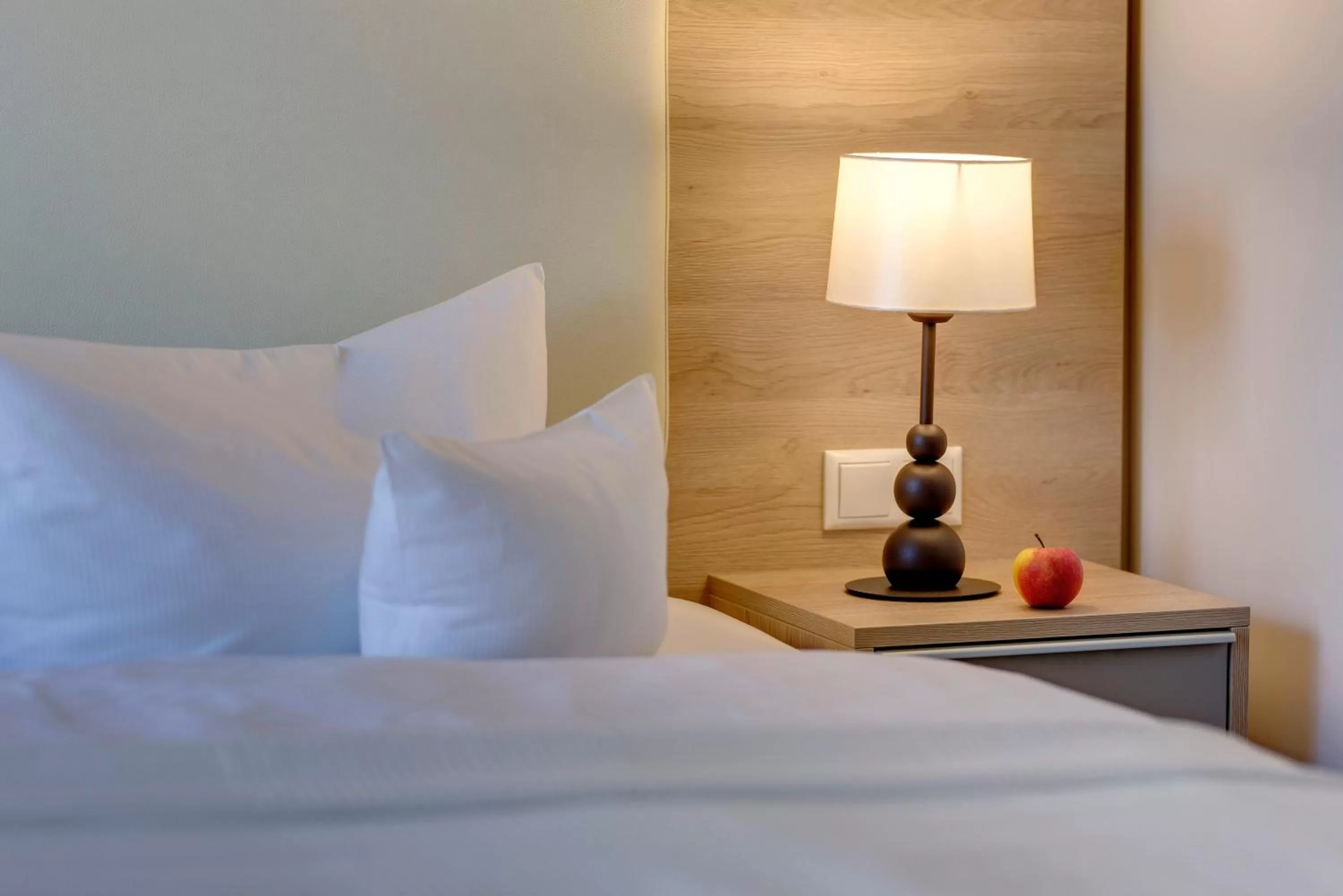 Single Room in Hotel Polar-Stern