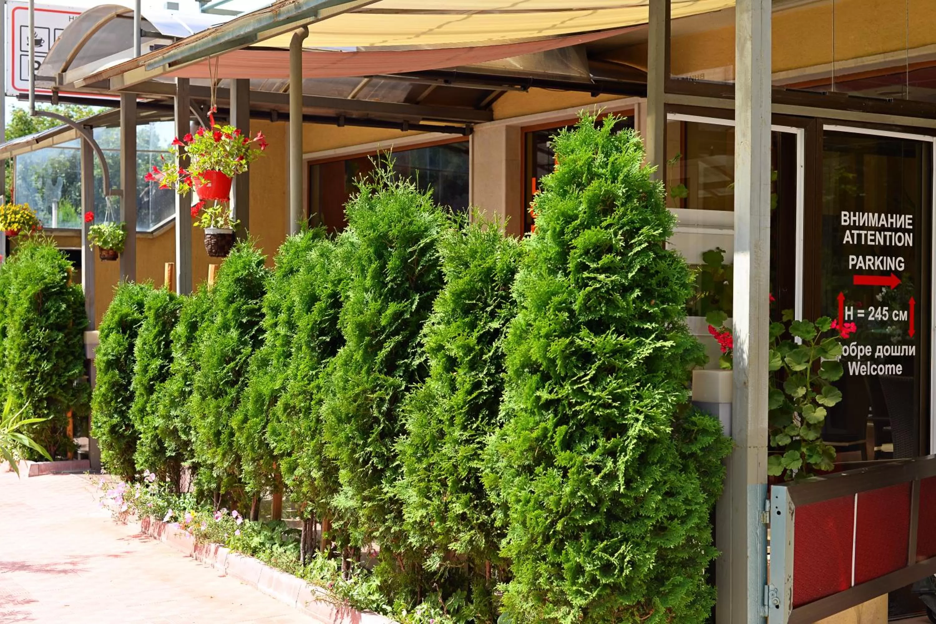 Facade/entrance in Family Art-Hotel Zora