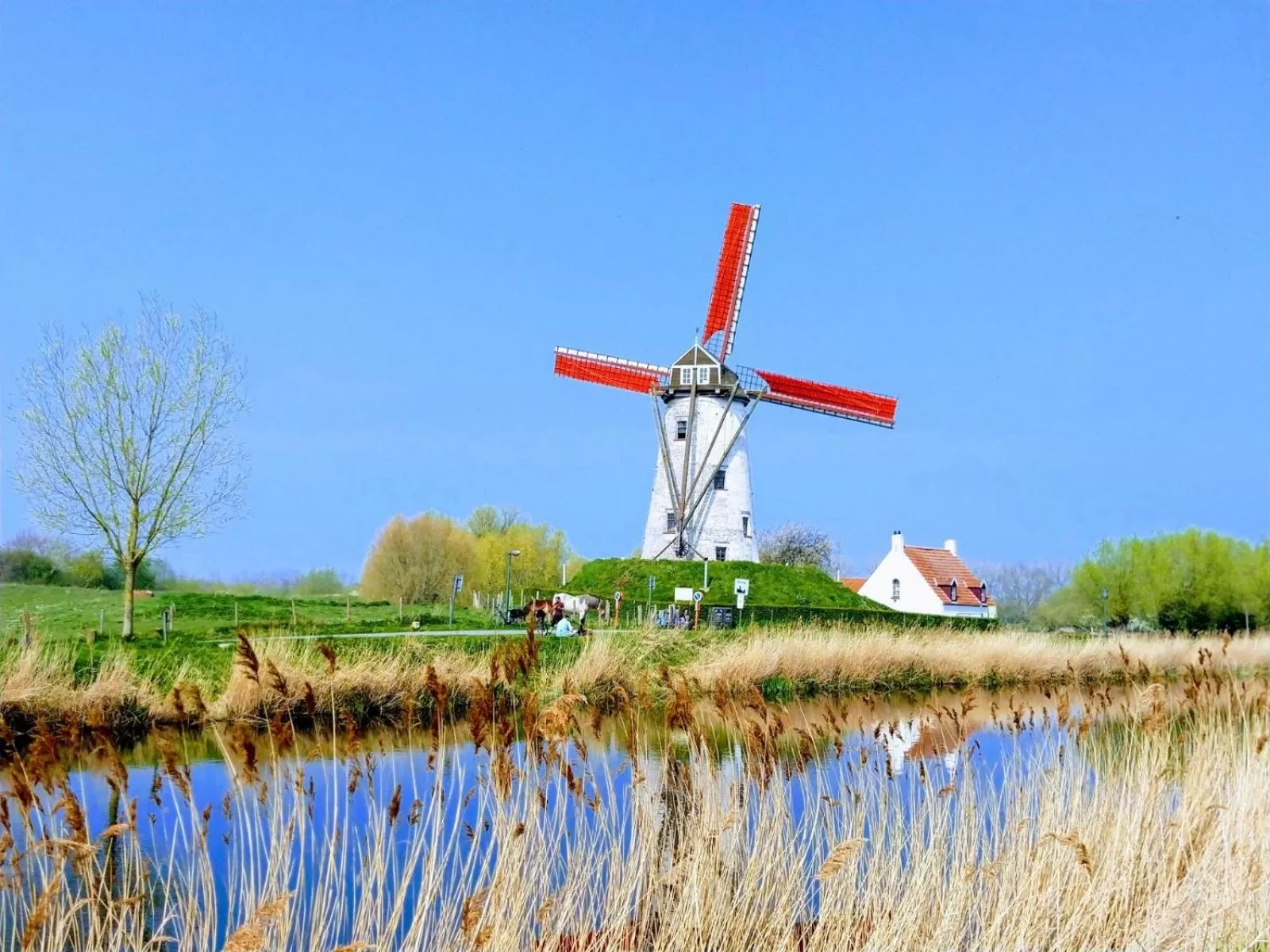 Neighbourhood in B&B De Passant
