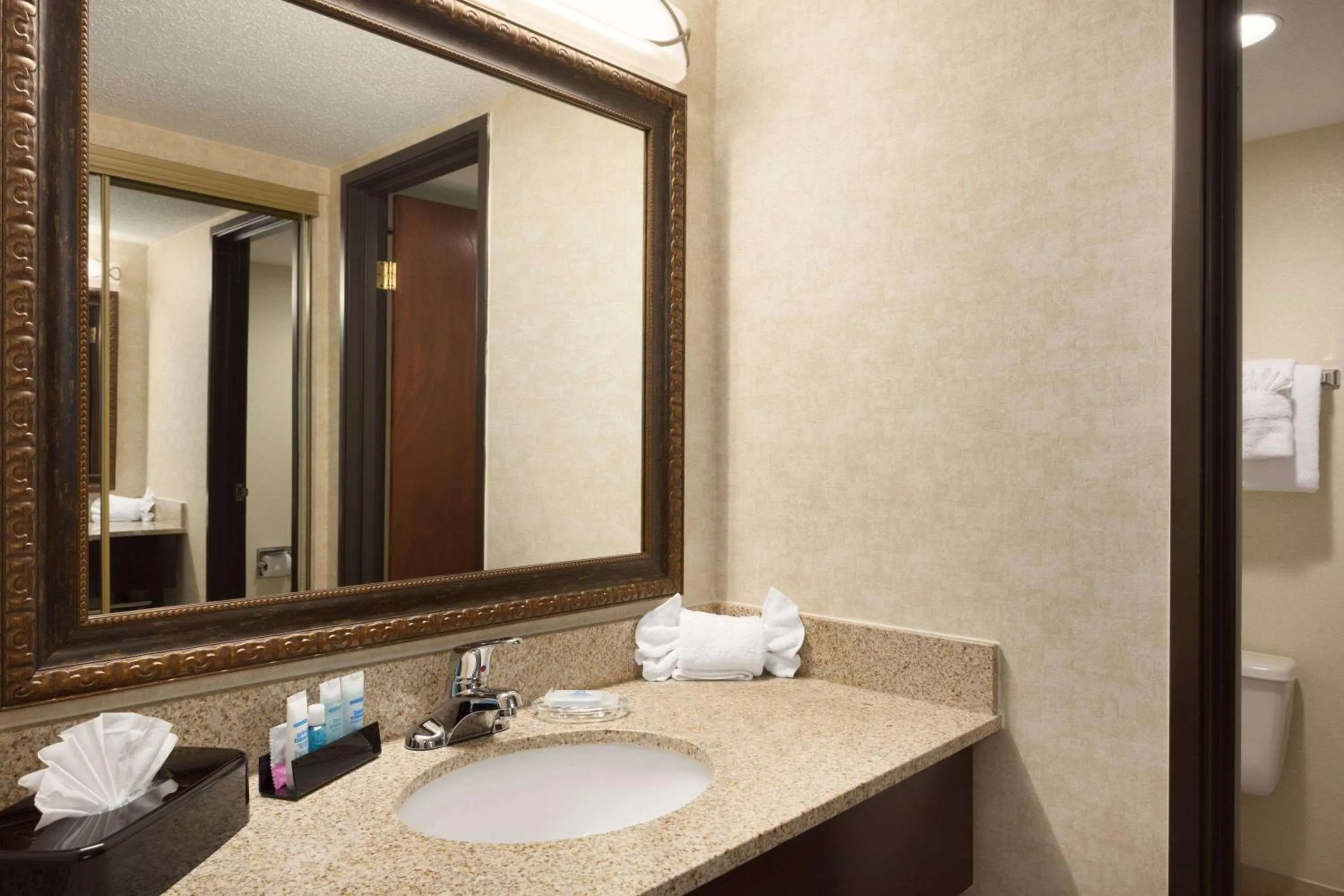 Bathroom in Wyndham Garden Grand Rapids Airport