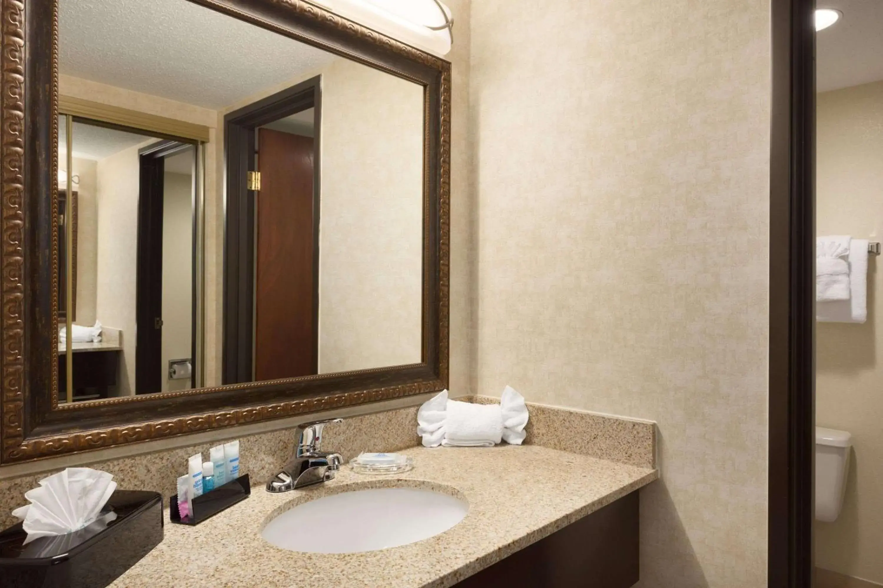 Bathroom in Wyndham Garden Grand Rapids Airport