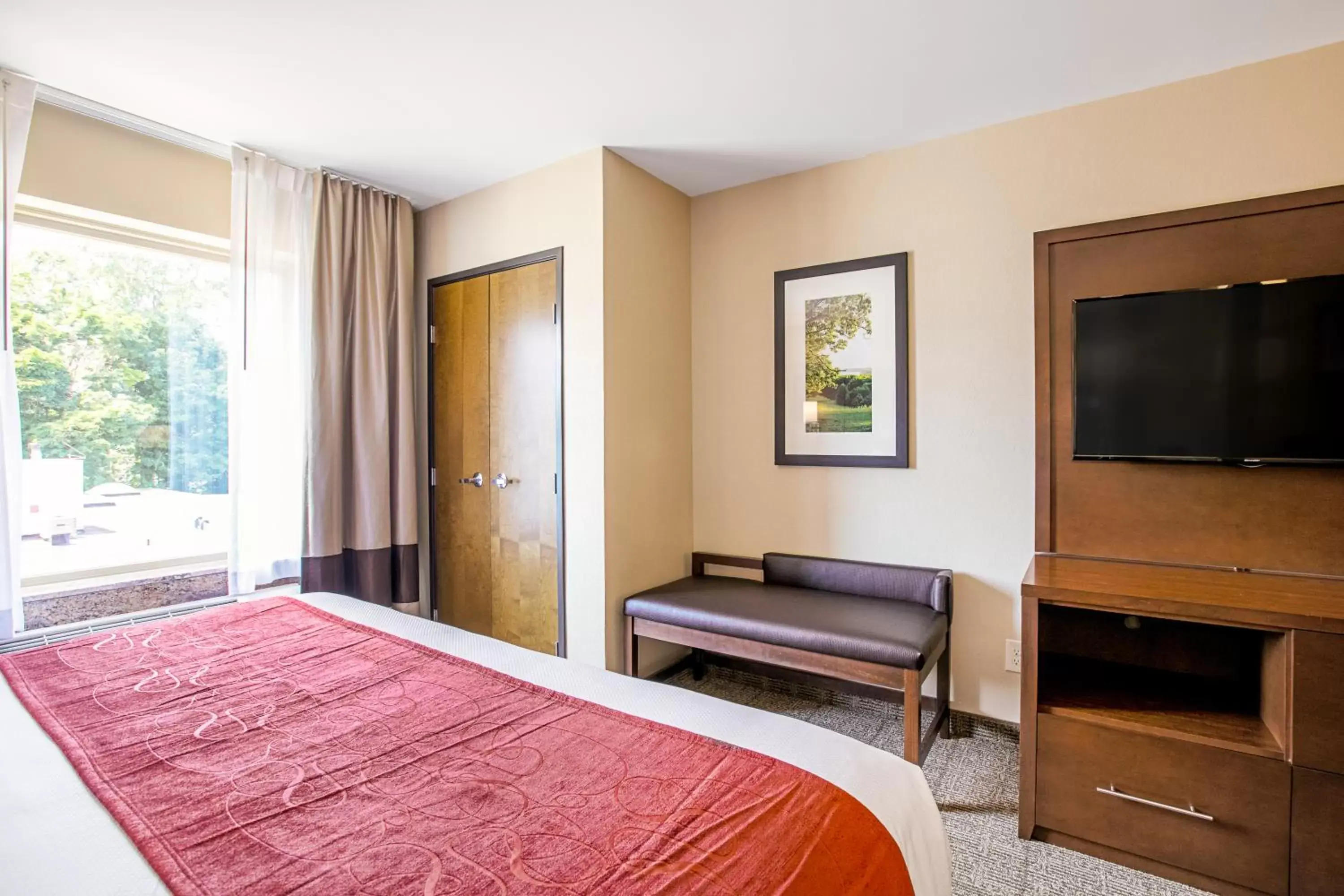 Seating area, Bed in Comfort Suites Fishkill near Interstate 84 Seating area, Bed in Comfort Suites Fishkill near Interstate 84