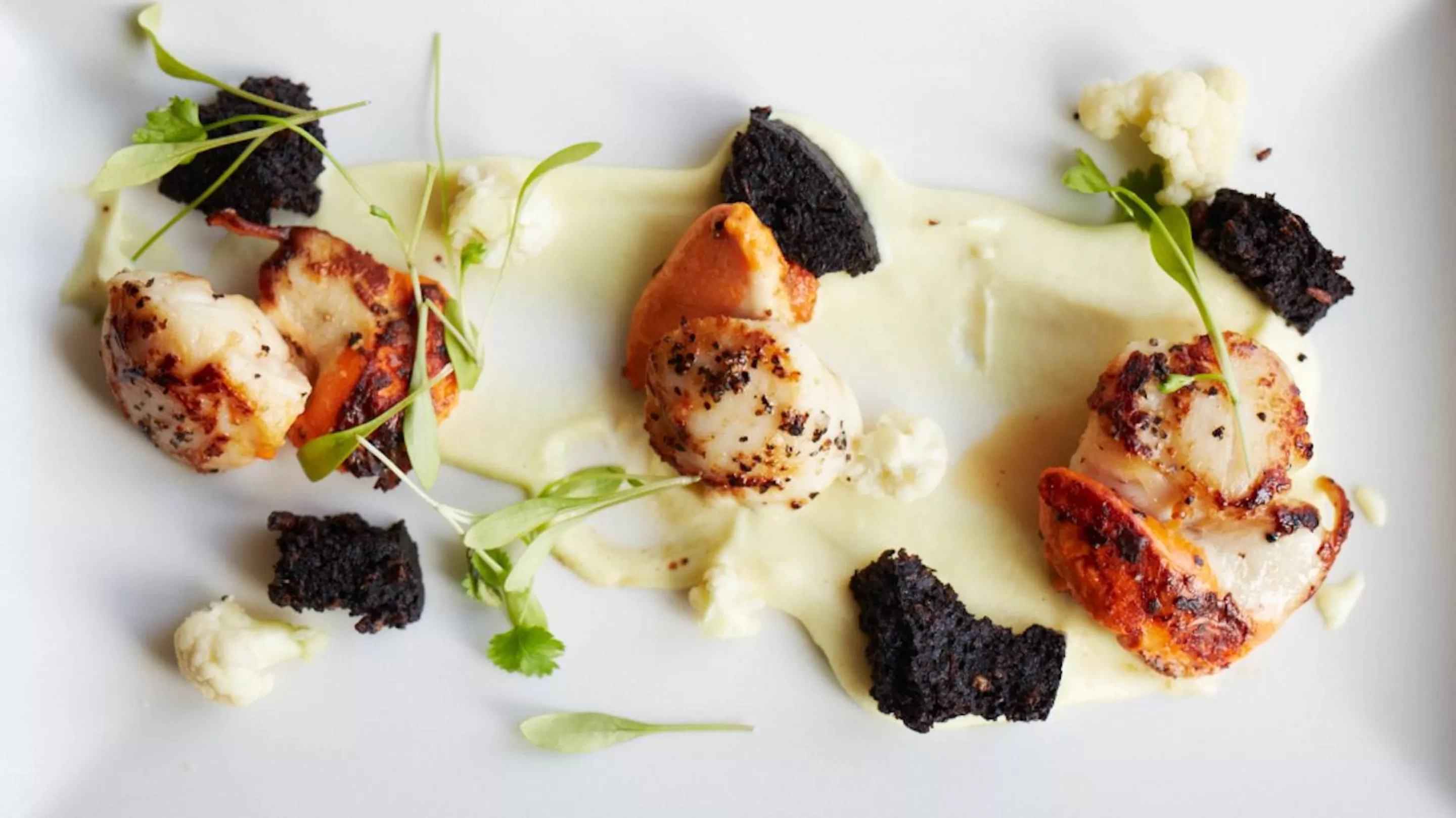 Dinner in The Roseate Edinburgh - Small Luxury Hotels of the World