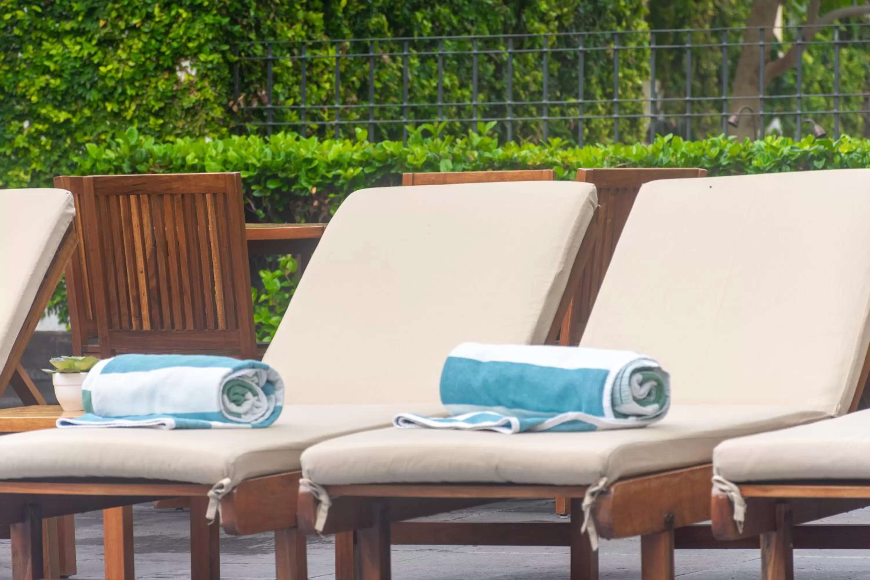 Swimming pool in Hotel Flamingo Inn