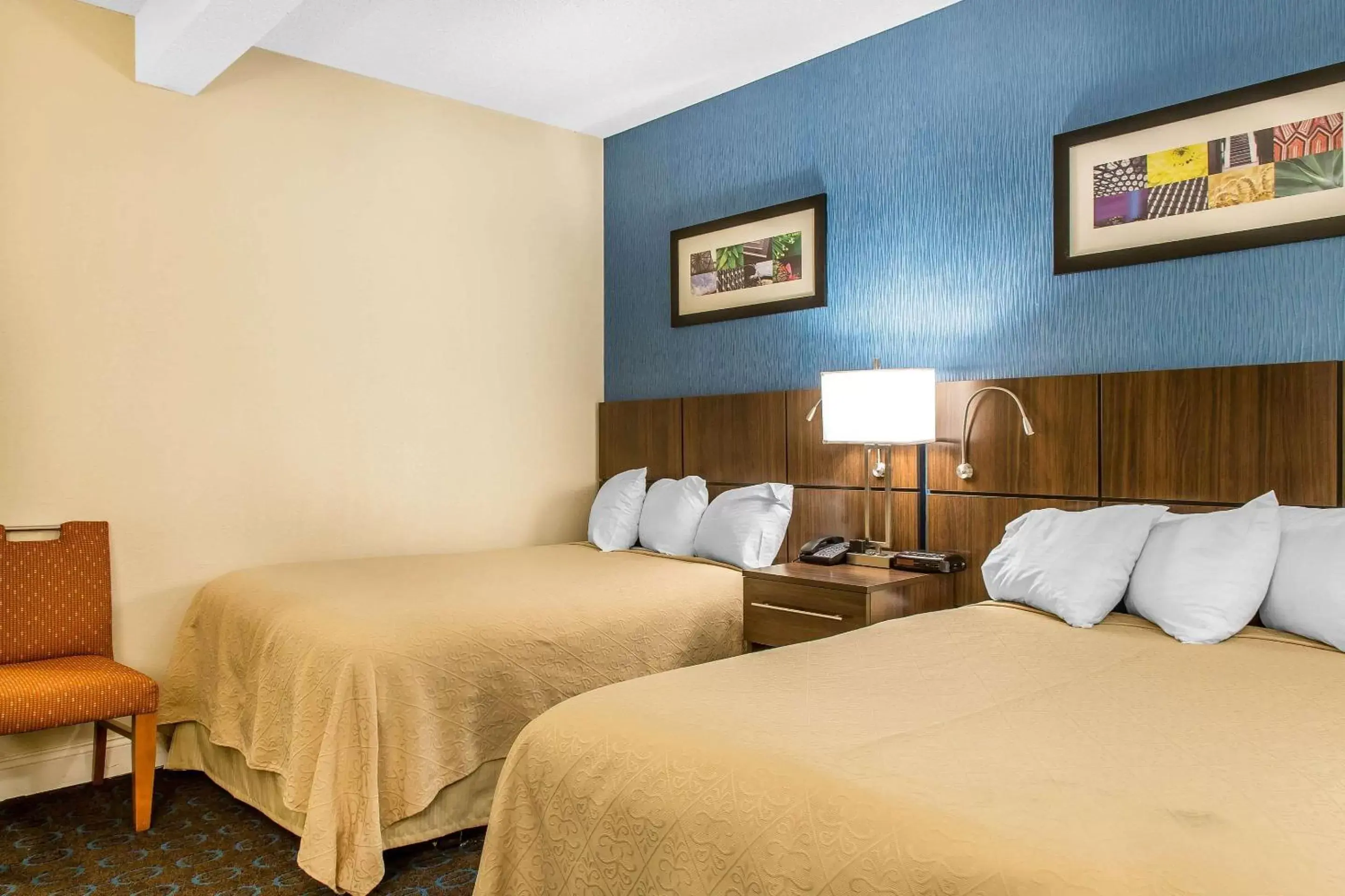 Photo of the whole room, Bed in Quality Inn & Suites Middletown - Newport