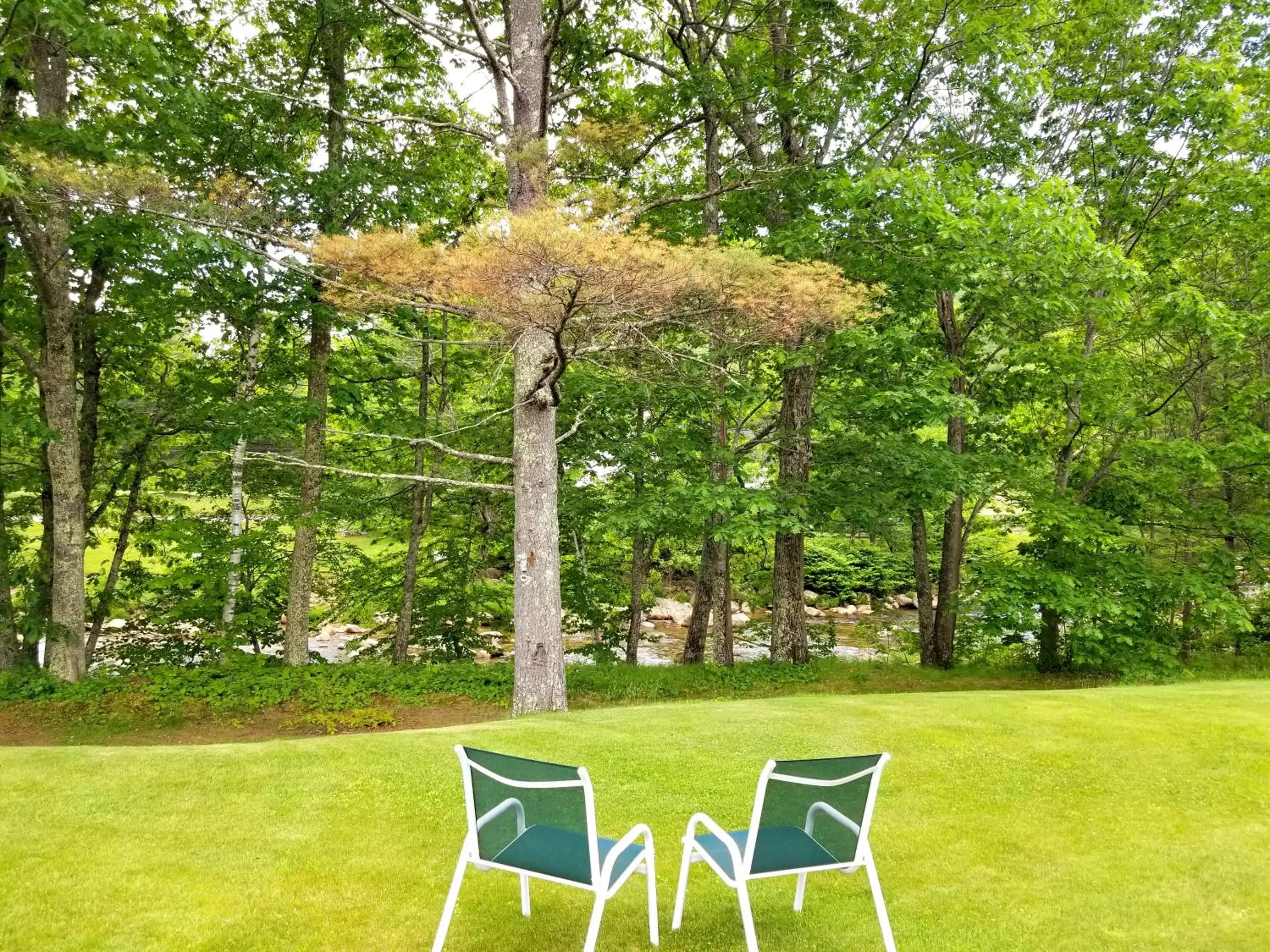 Summer, Garden in The Lodge at Jackson Village