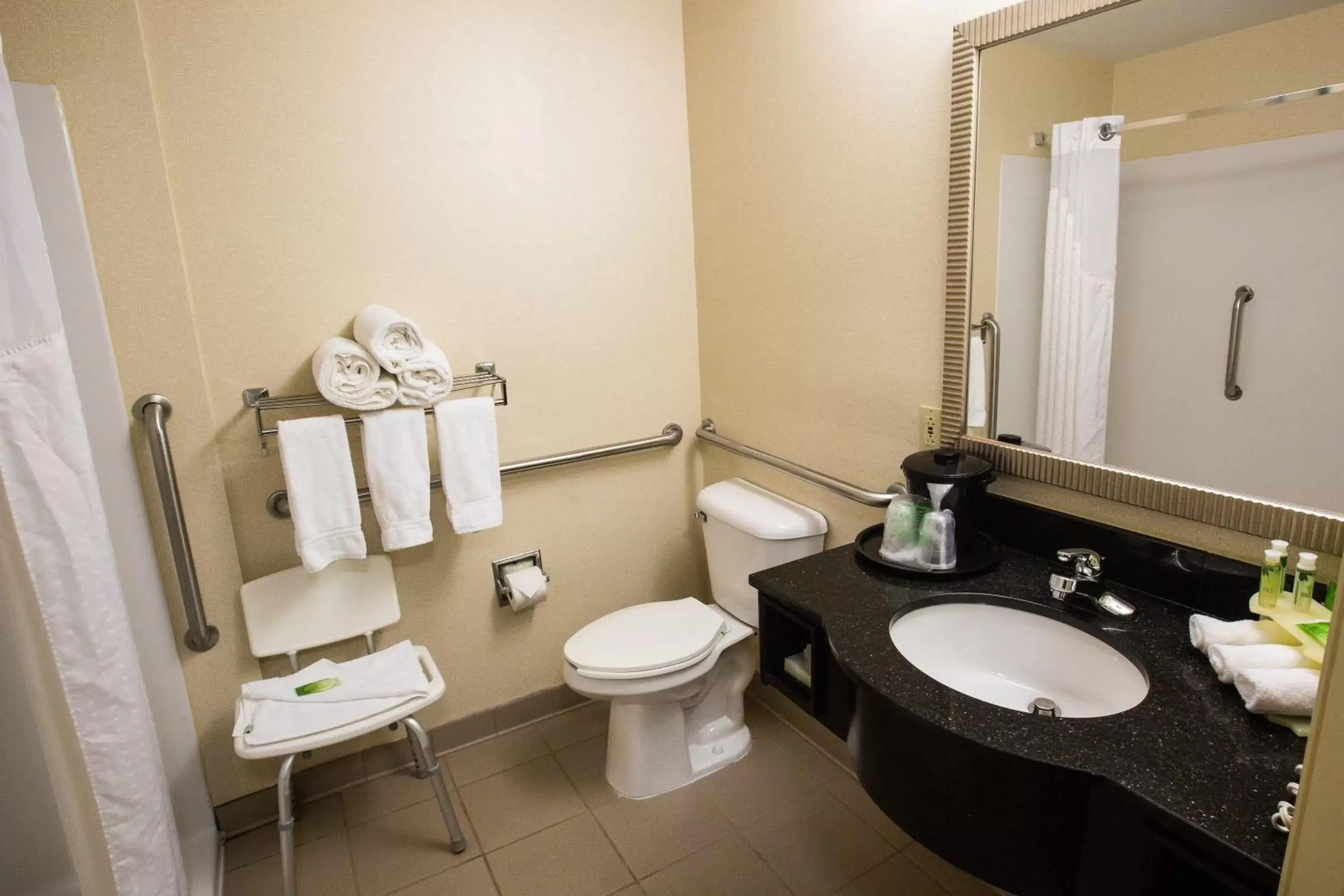 Bathroom in Holiday Inn Express Alpharetta - Roswell, an IHG Hotel