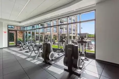 Fitness Center/Facilities in The Berkman