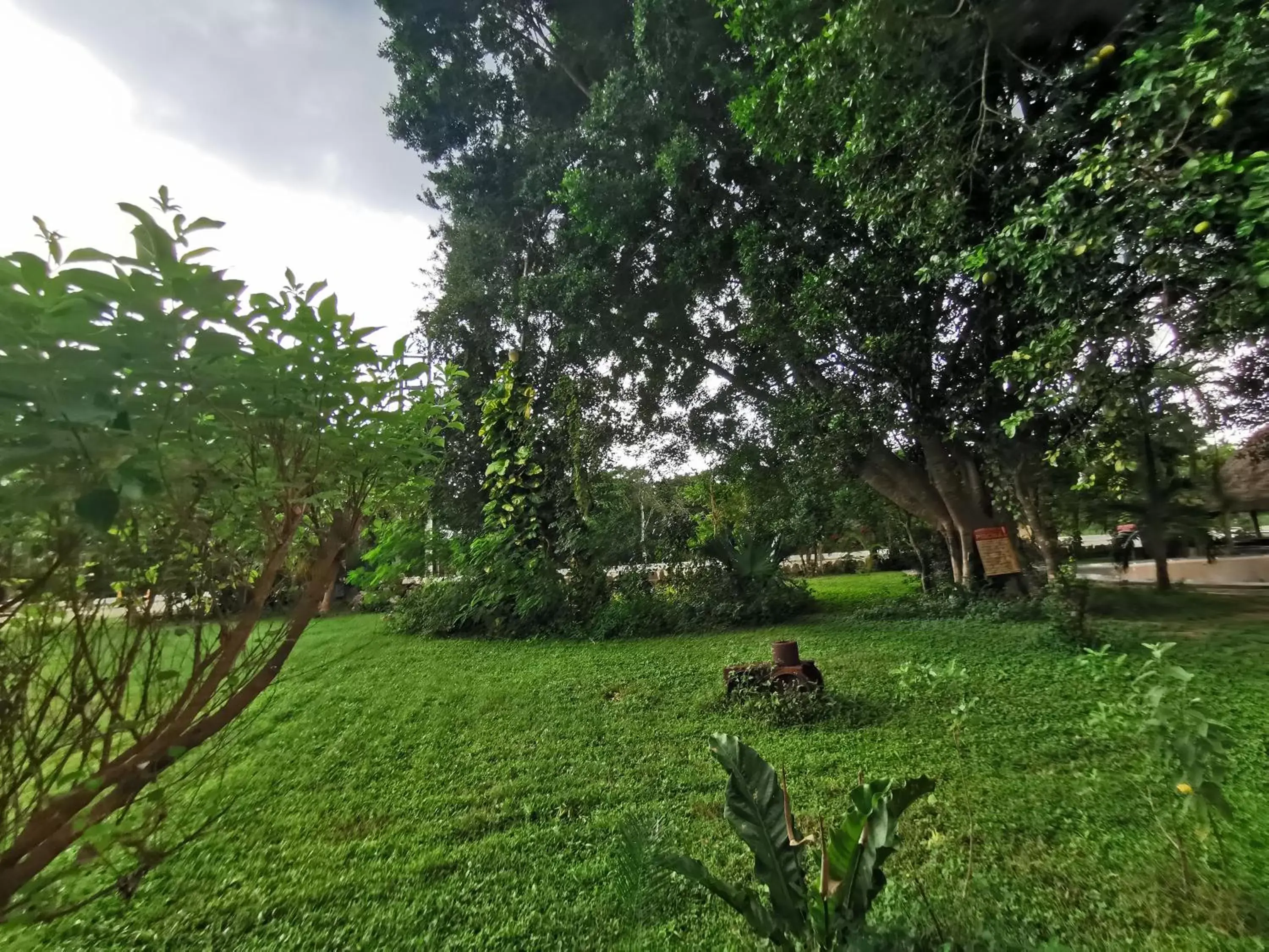 Garden in Hotel Doralba Inn Chichen