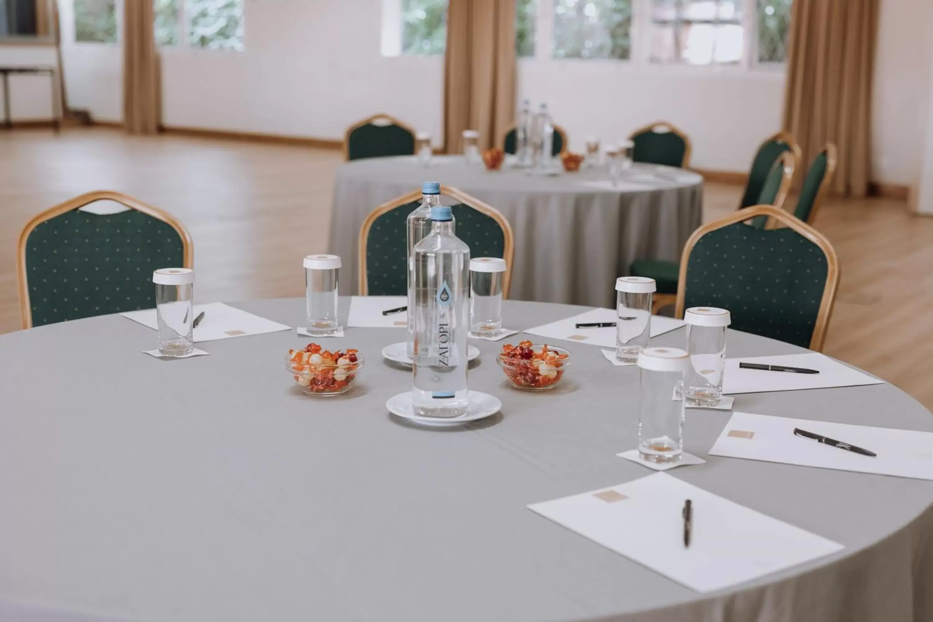 Banquet/Function facilities, Business Area/Conference Room in Domotel Kastri