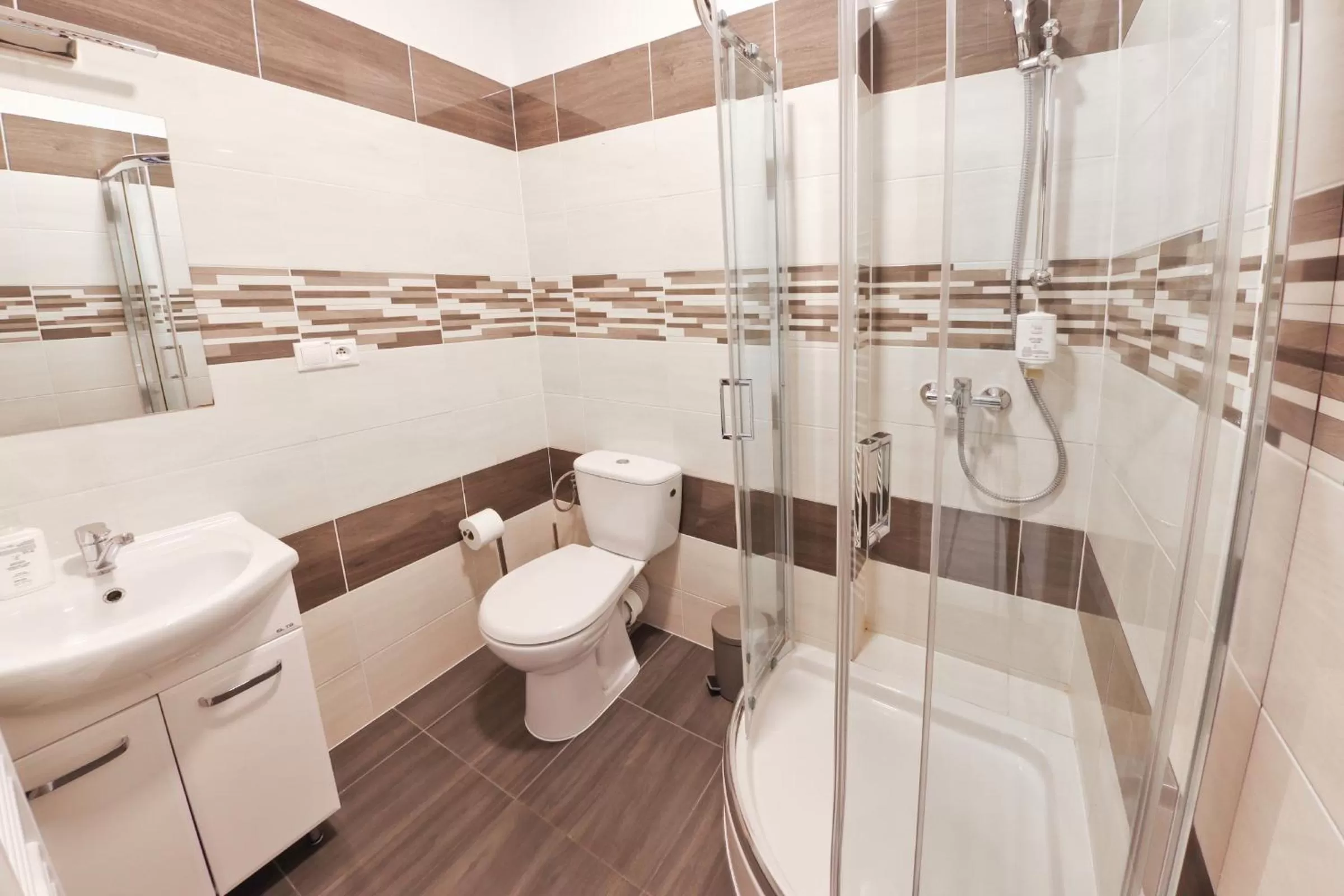 Bathroom in Hotel Slanica