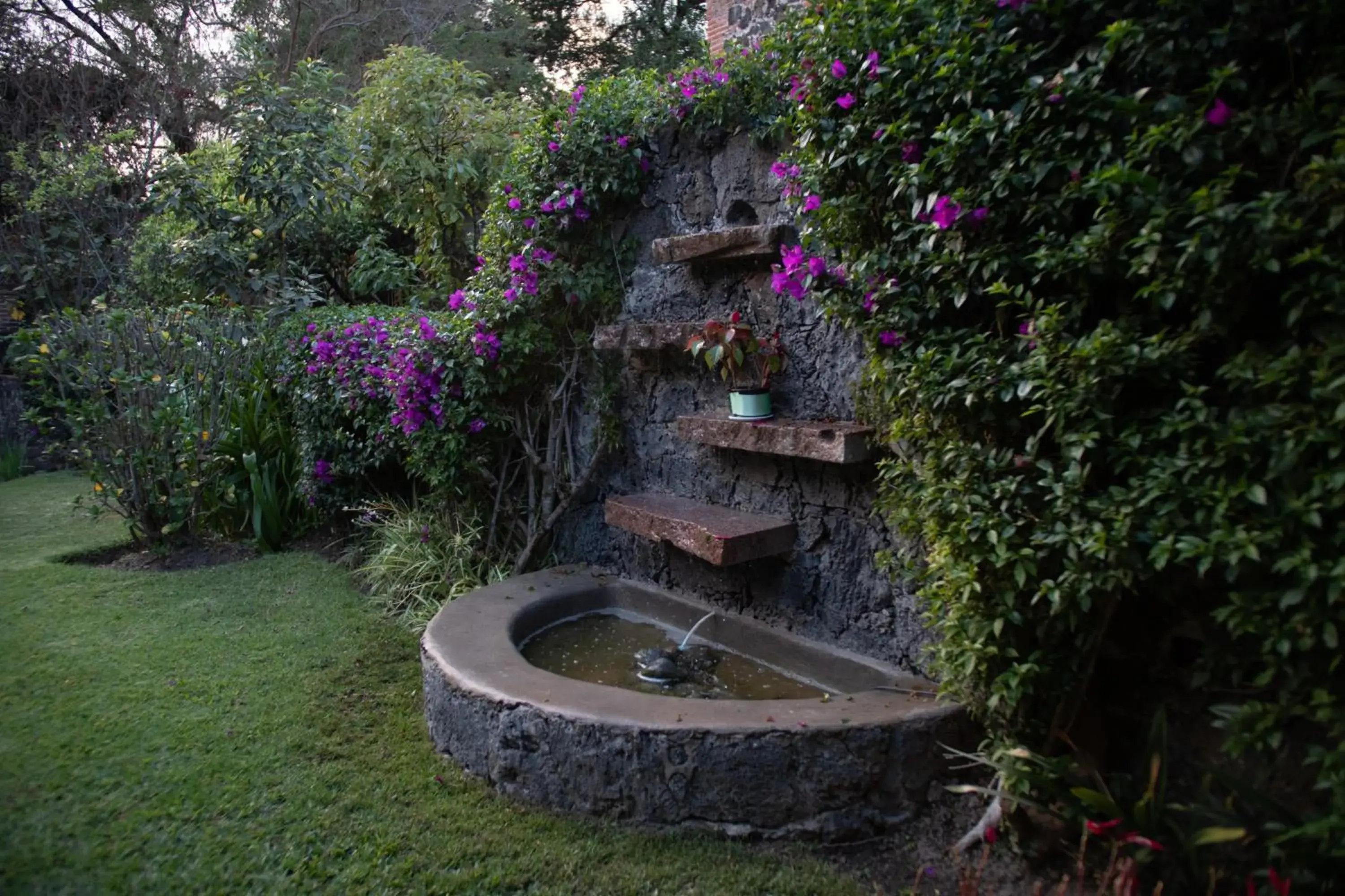 Garden in Hotel La Posada del Valle