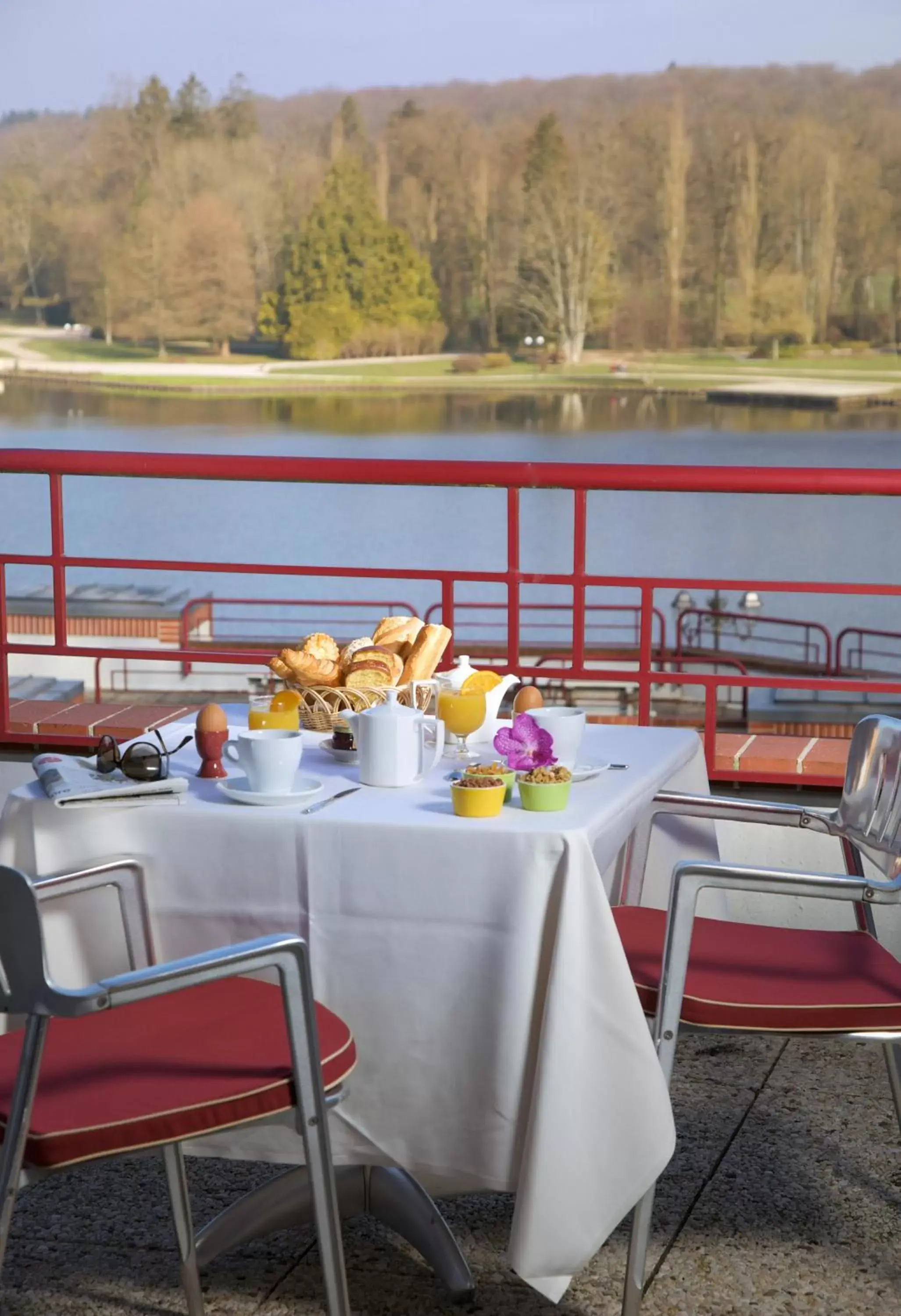 Balcony/Terrace in Hôtel Spa Du Béryl