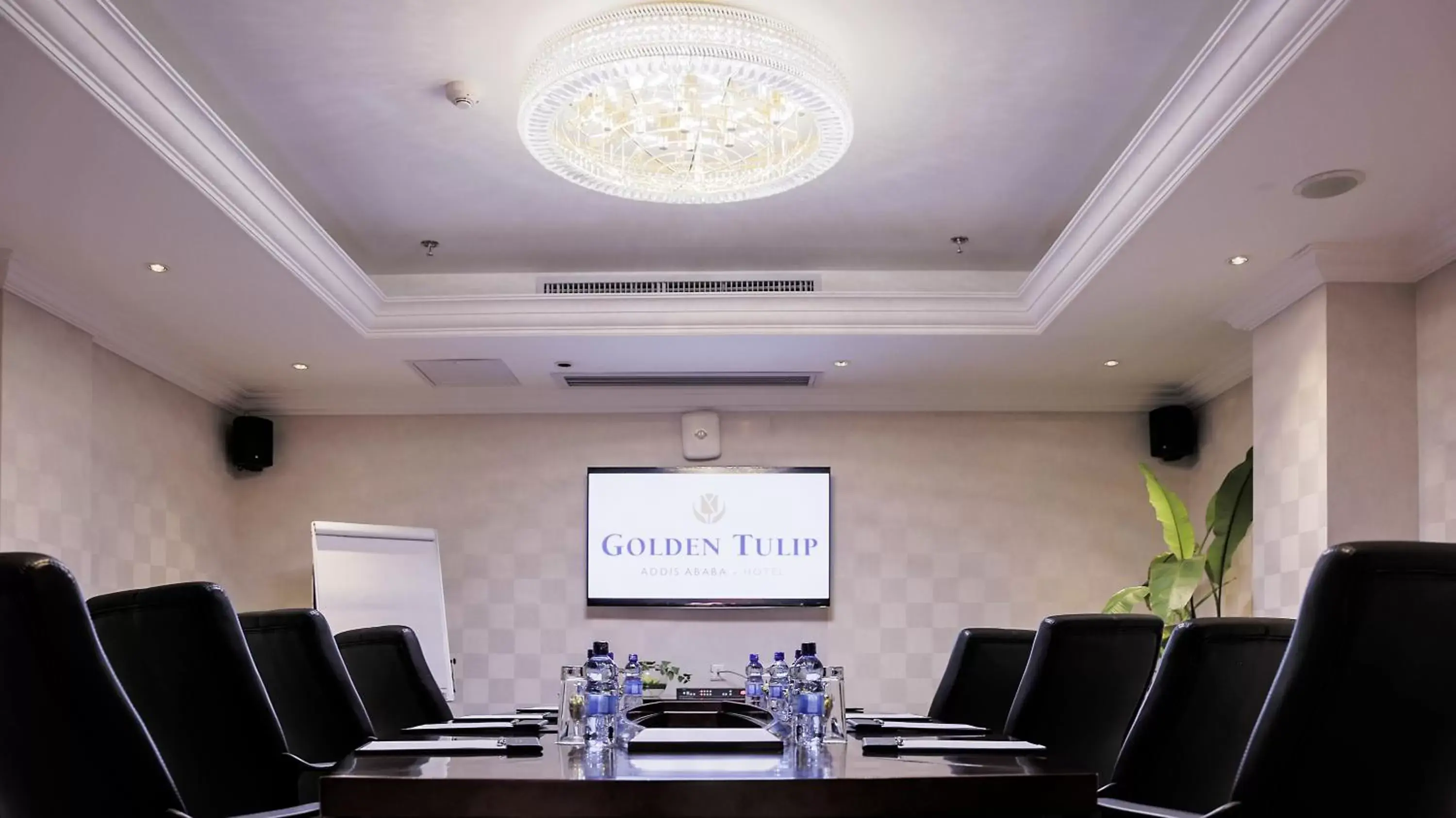 Business facilities, Business Area/Conference Room in Golden Tulip Addis Ababa