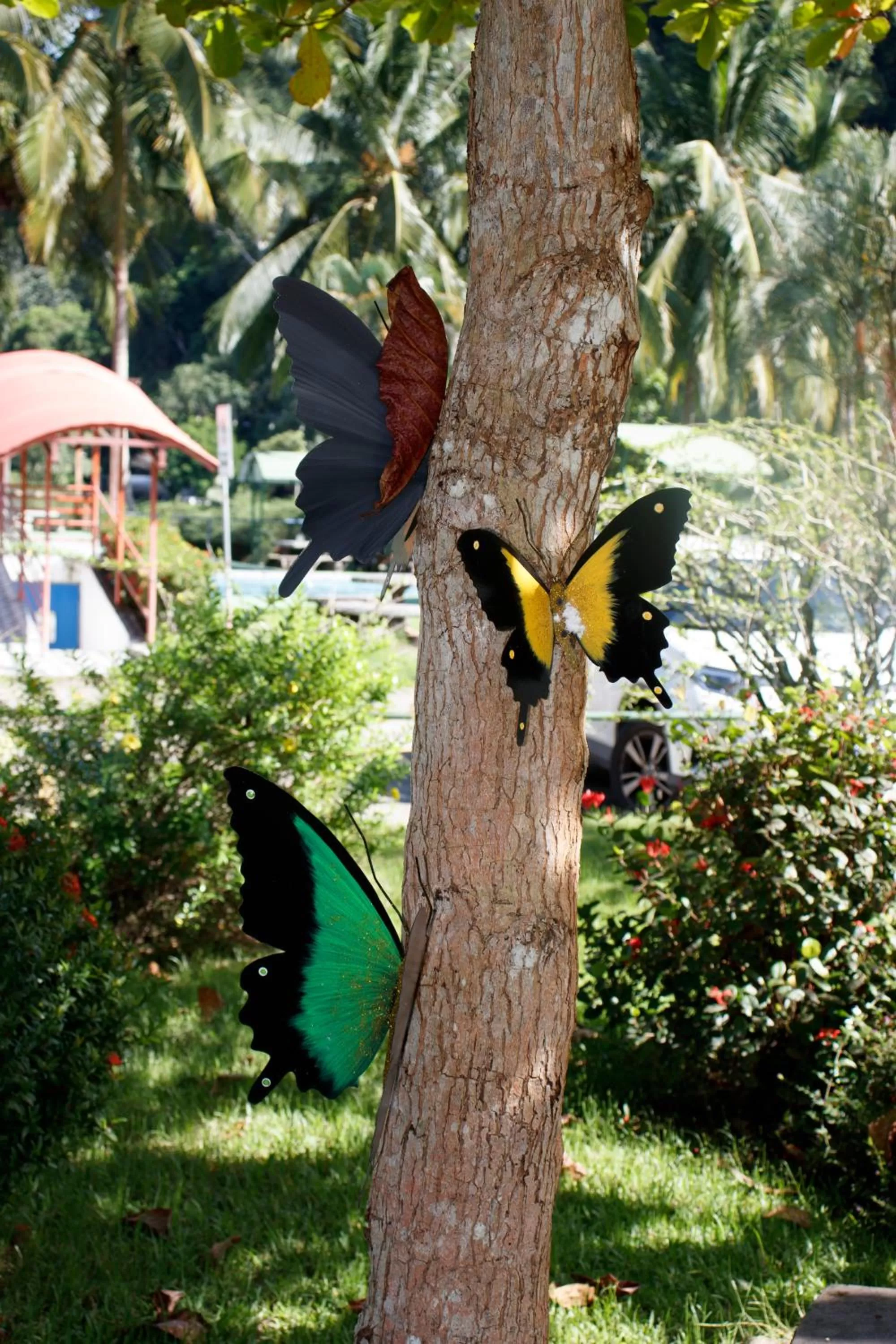 Garden, Other Animals in Hotel Samoa del Sur