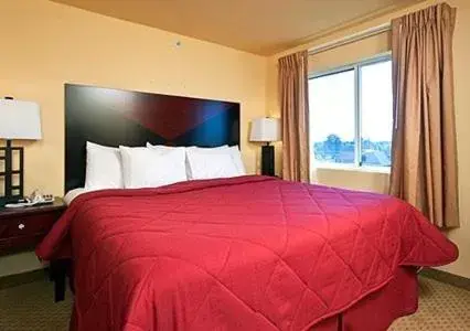 Double Room with King Bed - Disability Access/Non/Smoking in Sleep Inn & Suites Huntsville near U.S. Space & Rocket Center