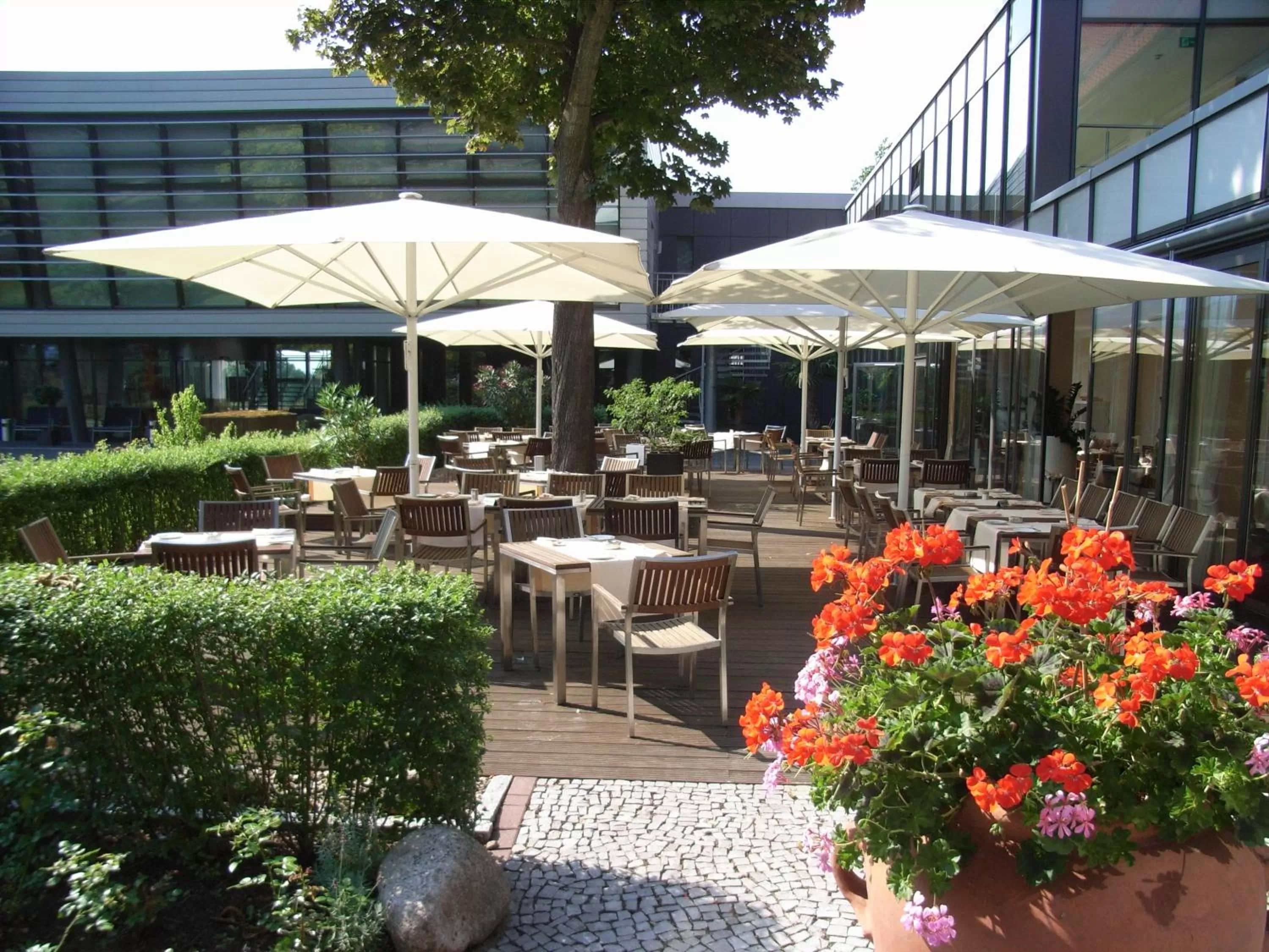 Restaurant/places to eat in Hotel am See