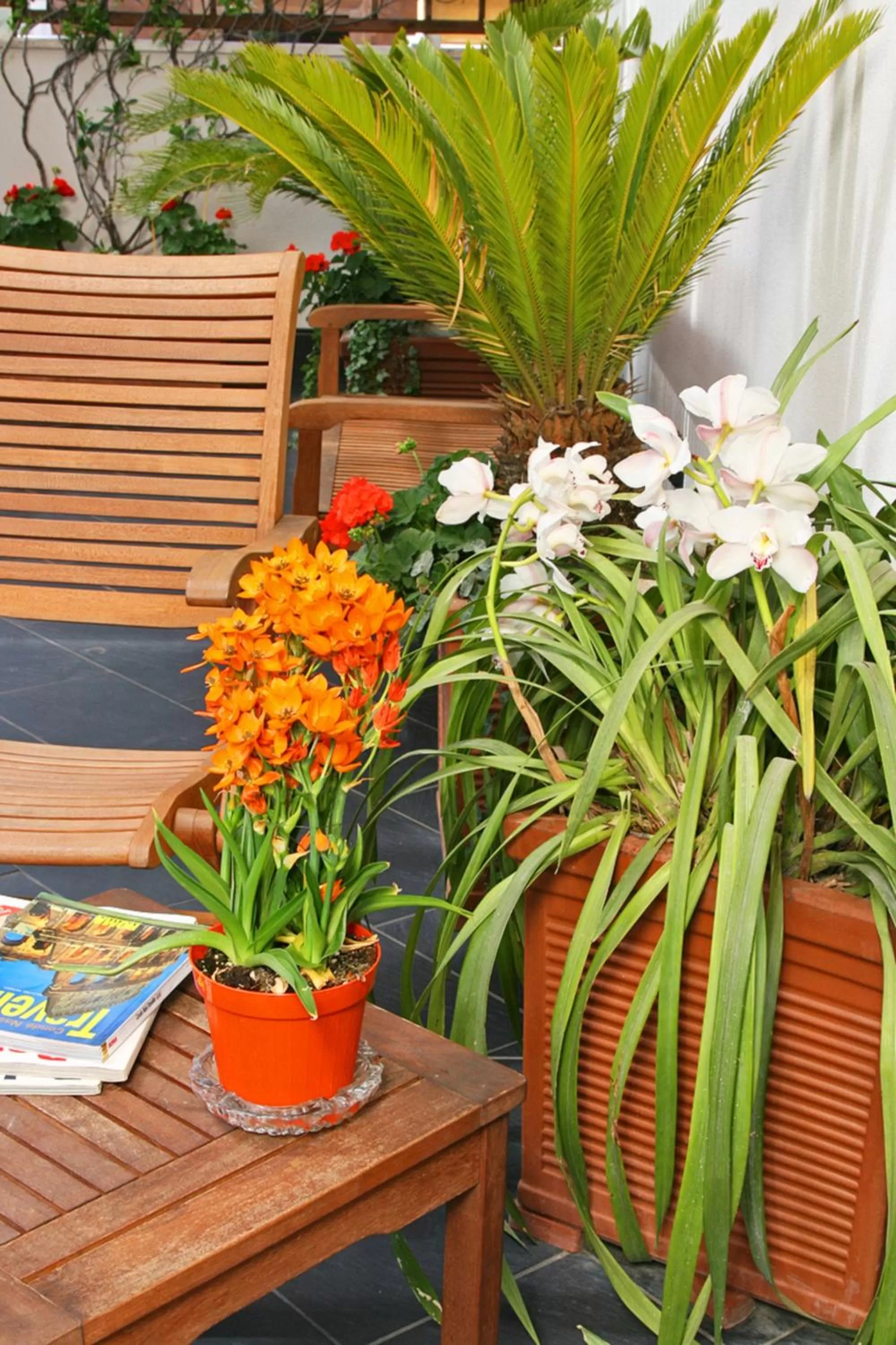 Balcony/Terrace in Hotel Arcangelo