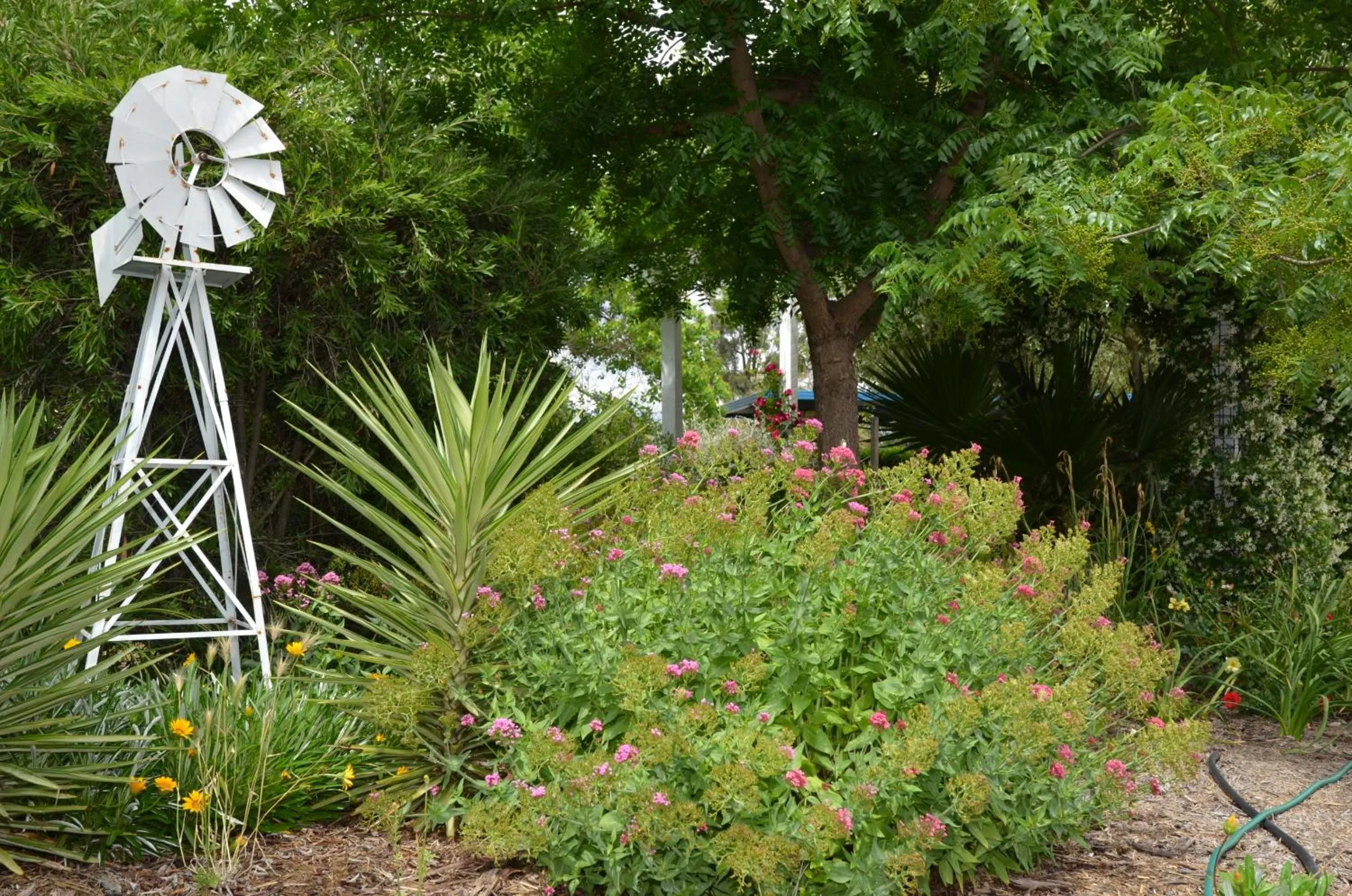 Garden in Orana Windmill Motel