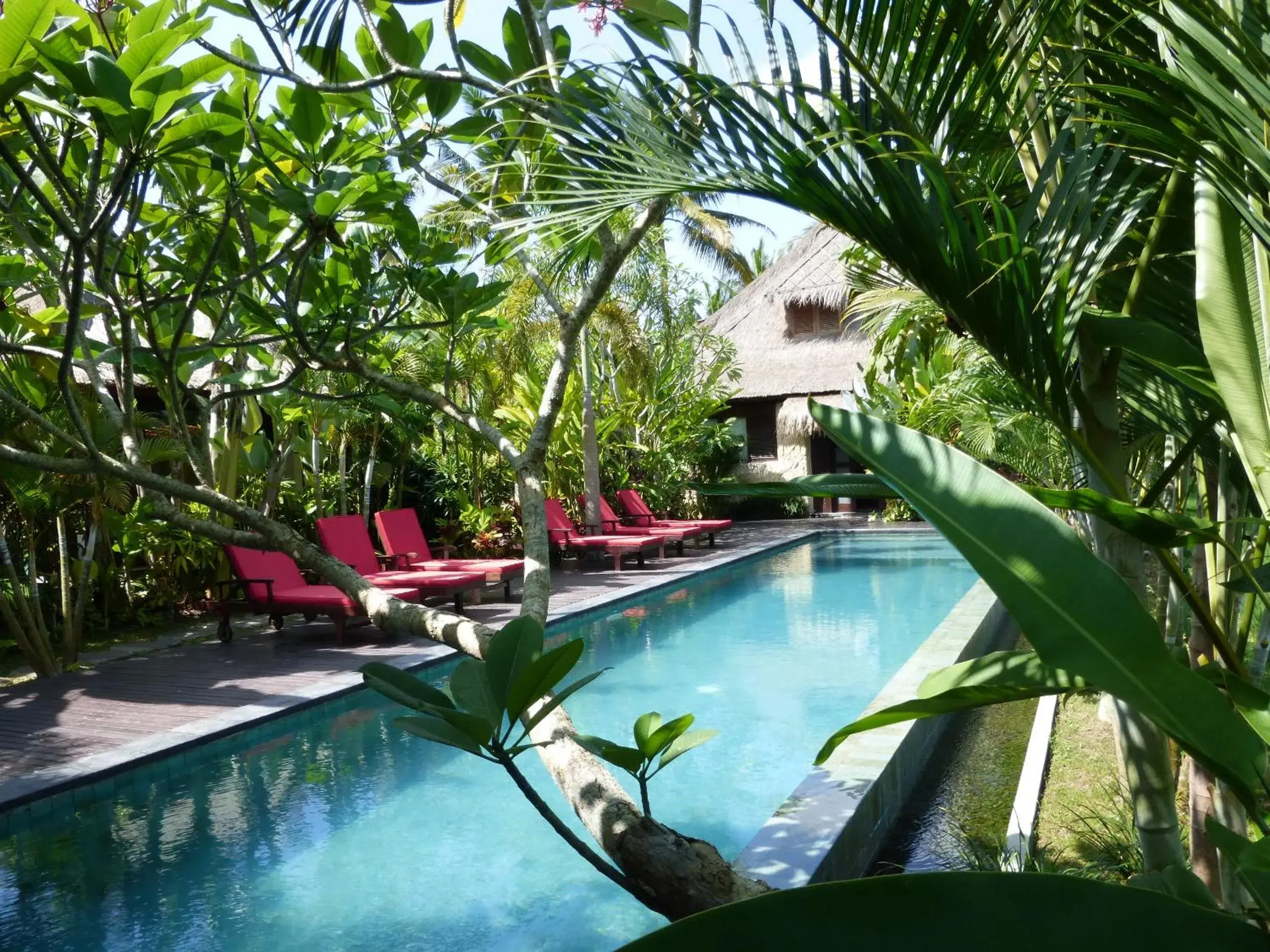 Garden, Swimming Pool in Bali Harmony Villa