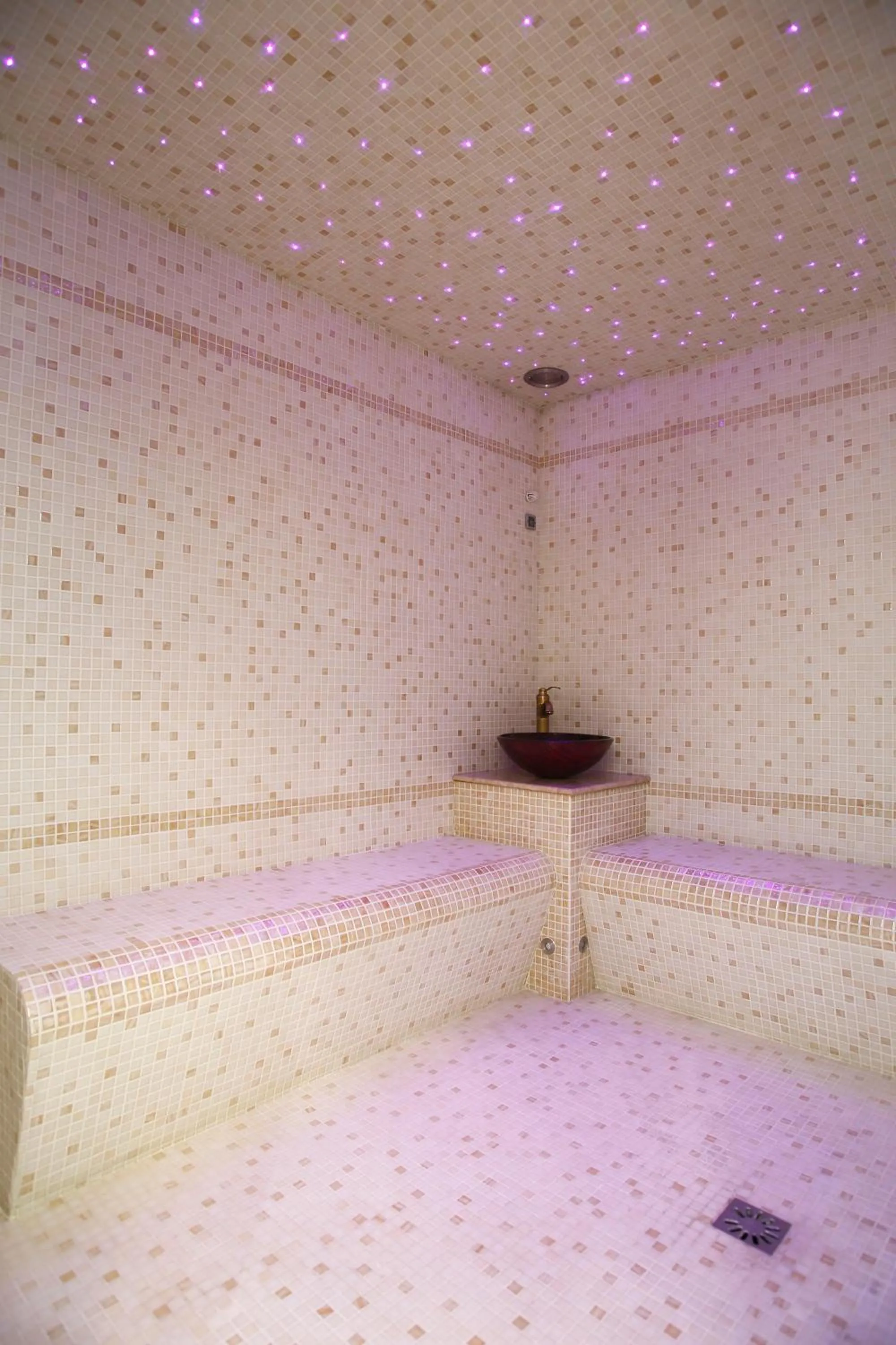 Spa and wellness centre/facilities in Hotel Corsica & Spa Serena